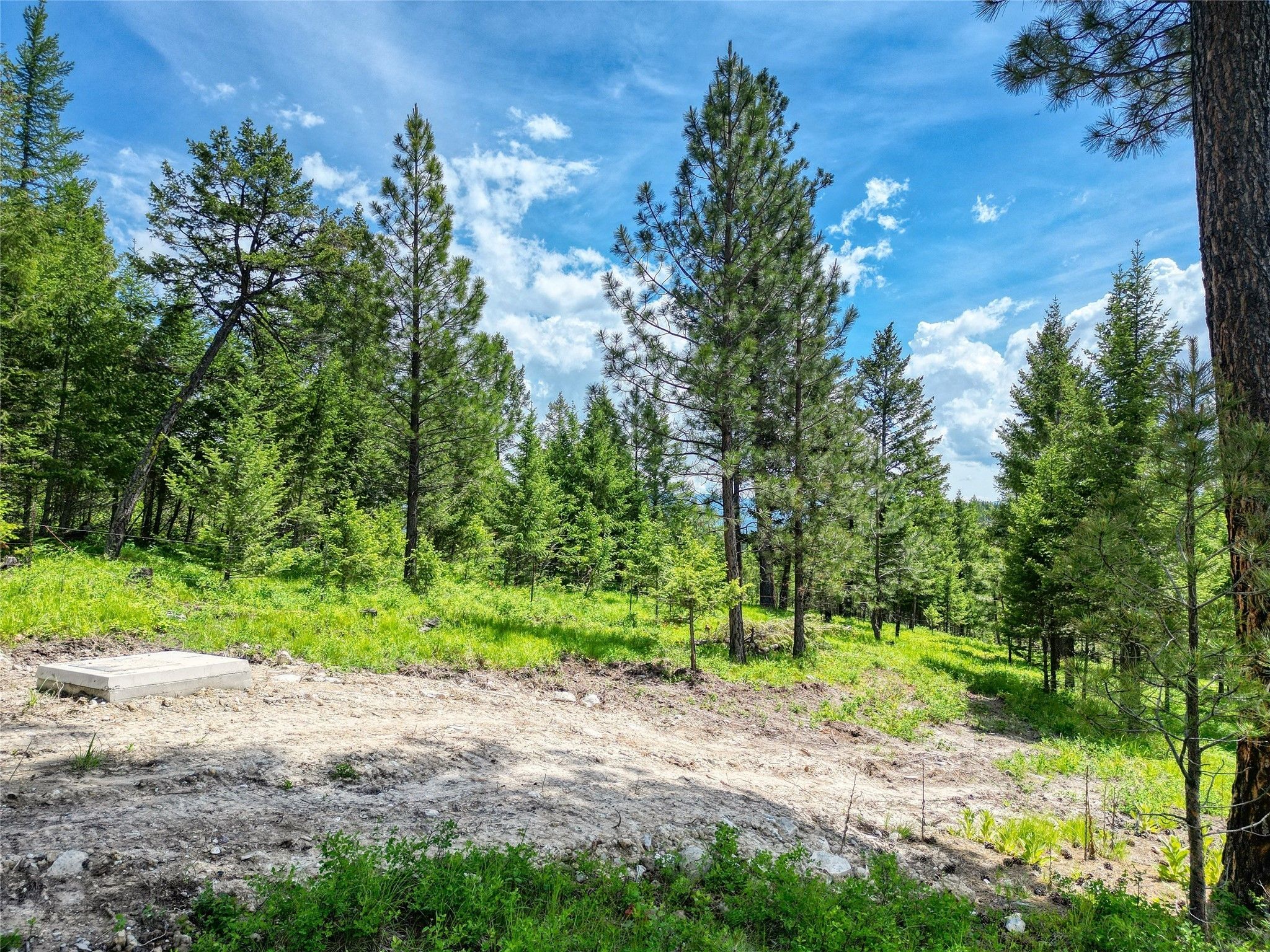 Kalispell, Flathead County, MT Farms and Ranches, Homesites for sale