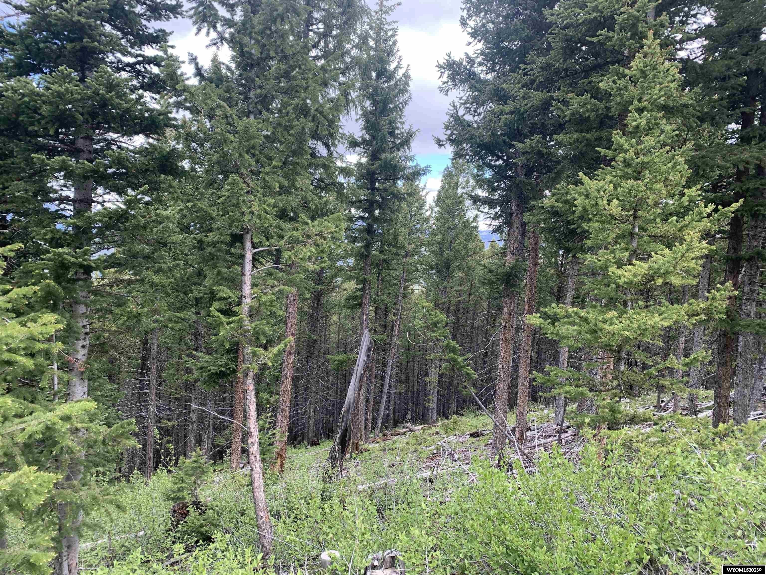 Dubois, Fremont County, WY Undeveloped Land, Homesites for sale