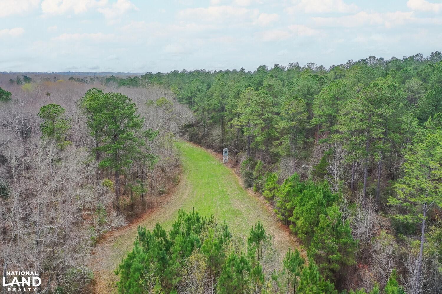 Franklin, Macon County, AL Recreational Property, Timberland Property