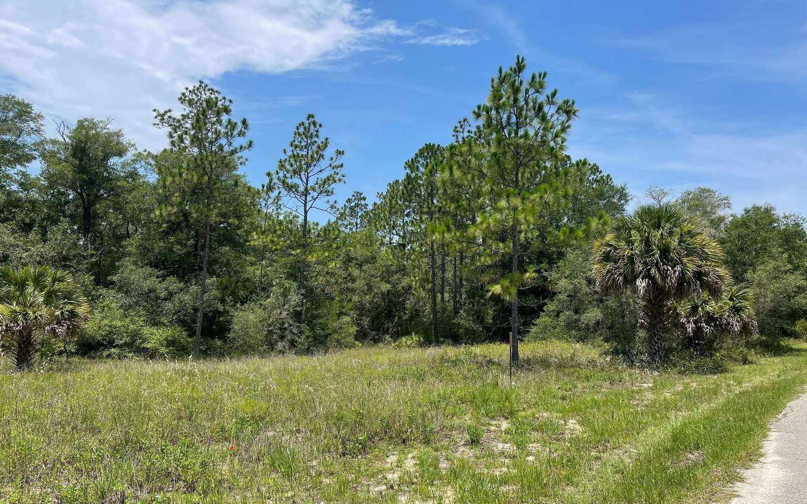 540 KINGS CREEK CIRCLE, Steinhatchee, FL 32359 MLS 120218 LandWatch