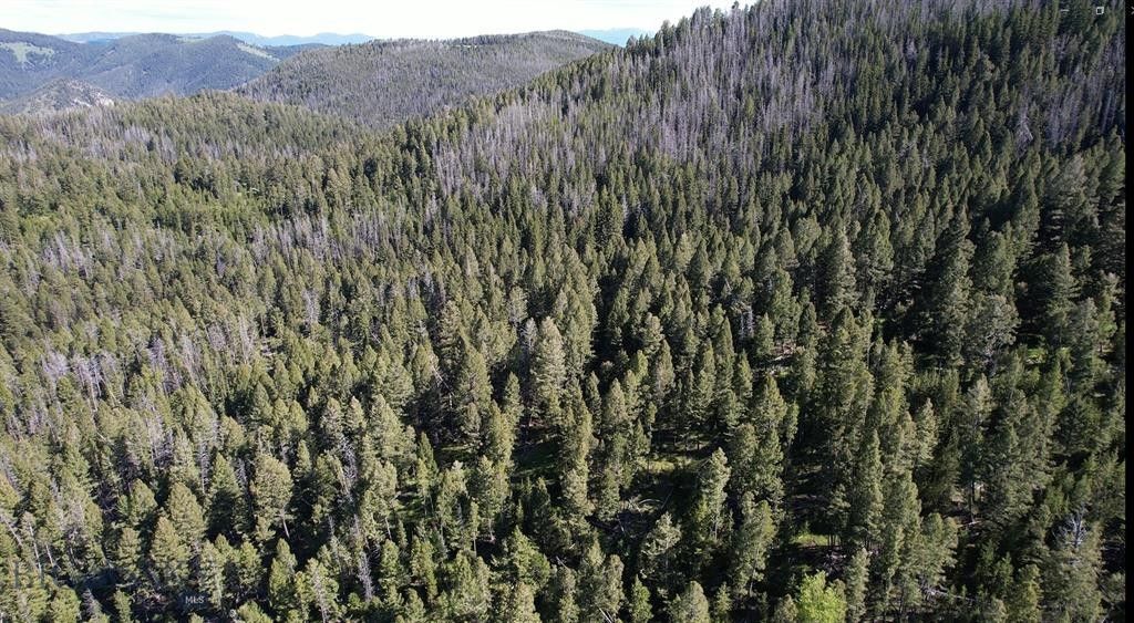 Rocker, Silver Bow County, MT Farms and Ranches for sale Property ID