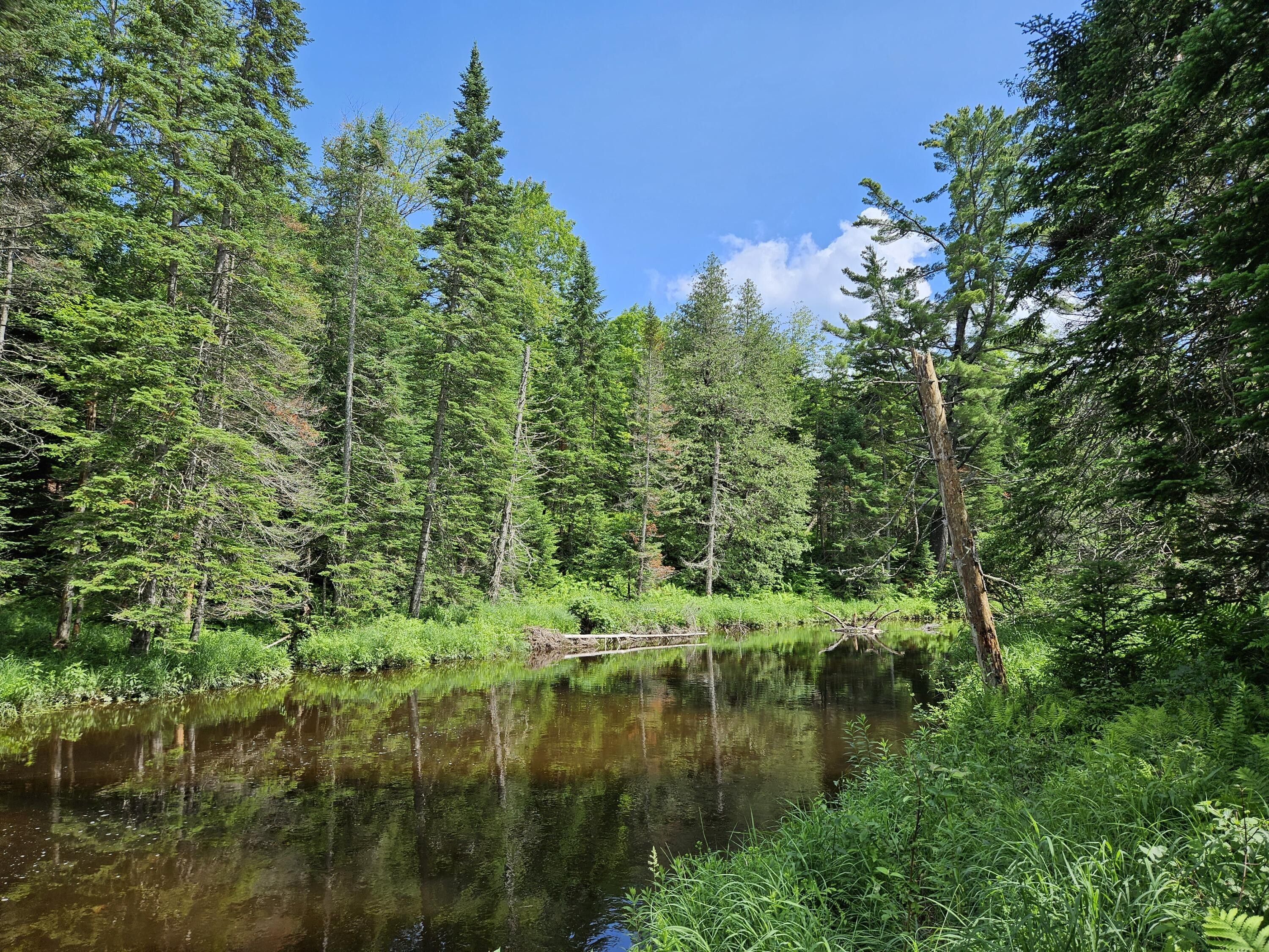 Industry, Franklin County, ME Farms and Ranches, Lakefront Property
