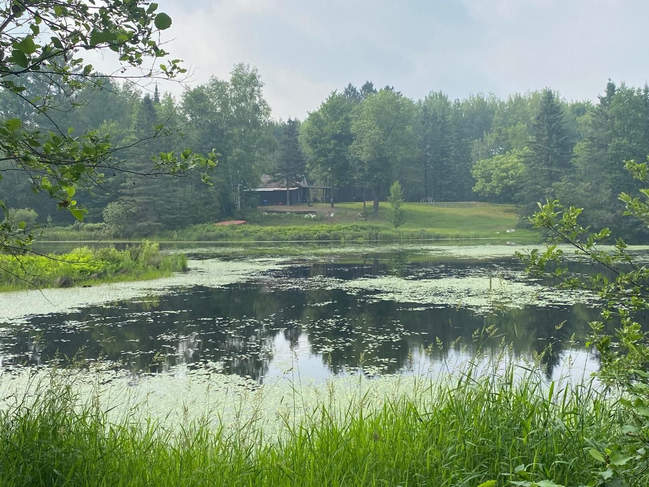 Prentice, Price County, WI Farms and Ranches, House for sale Property