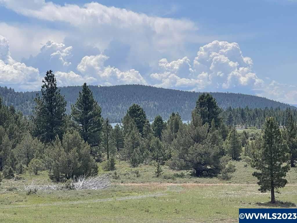 Lakeview, Lake County, OR Undeveloped Land for sale Property ID 416804183 LandWatch