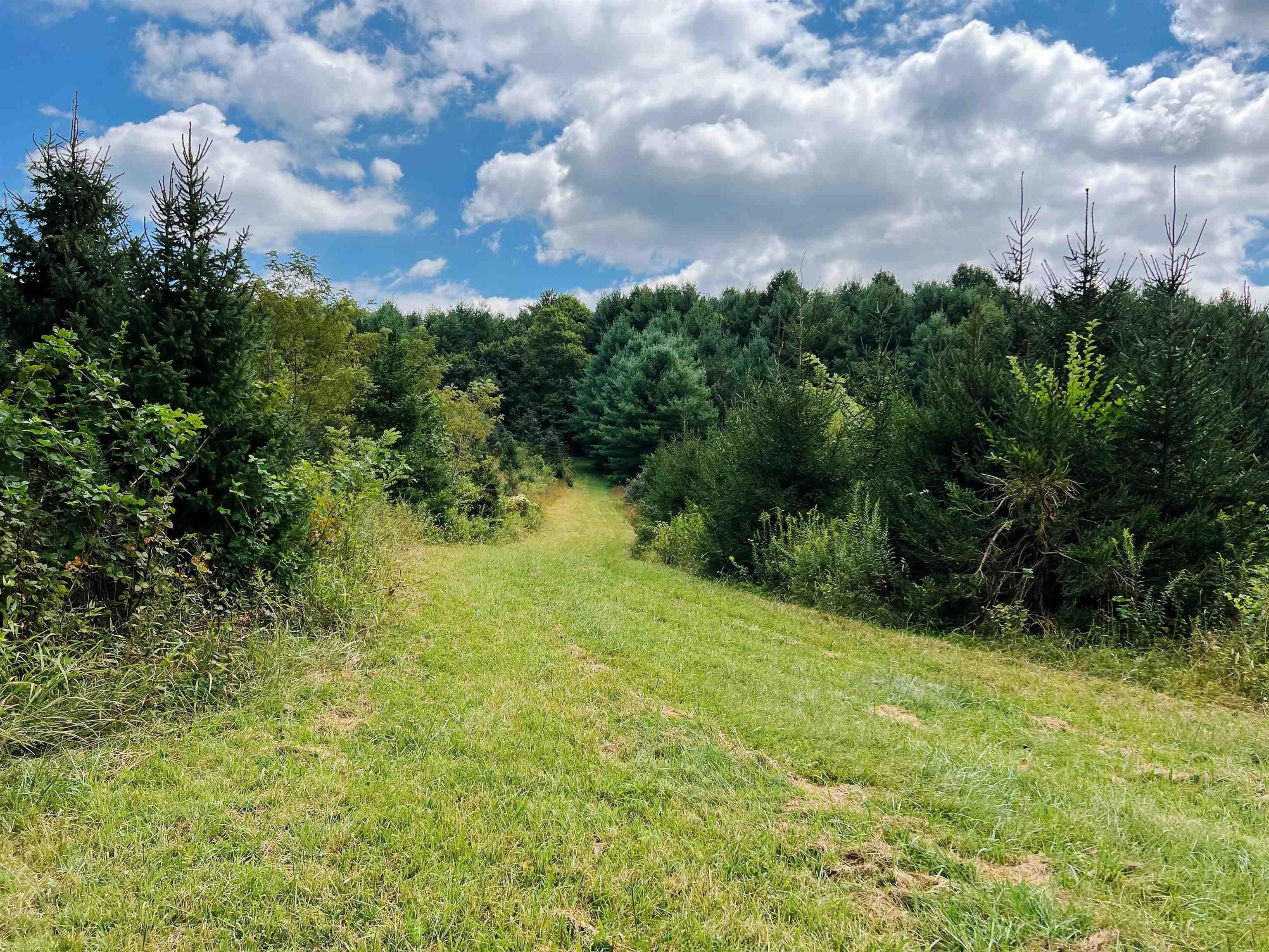 Willis, Floyd County, VA Undeveloped Land for sale Property ID