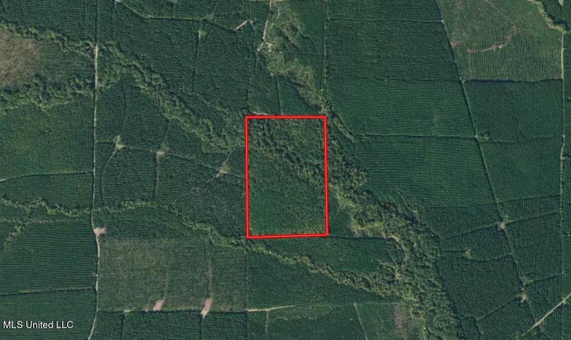 None, Scooba, MS 39358 MLS 4051890 LandWatch