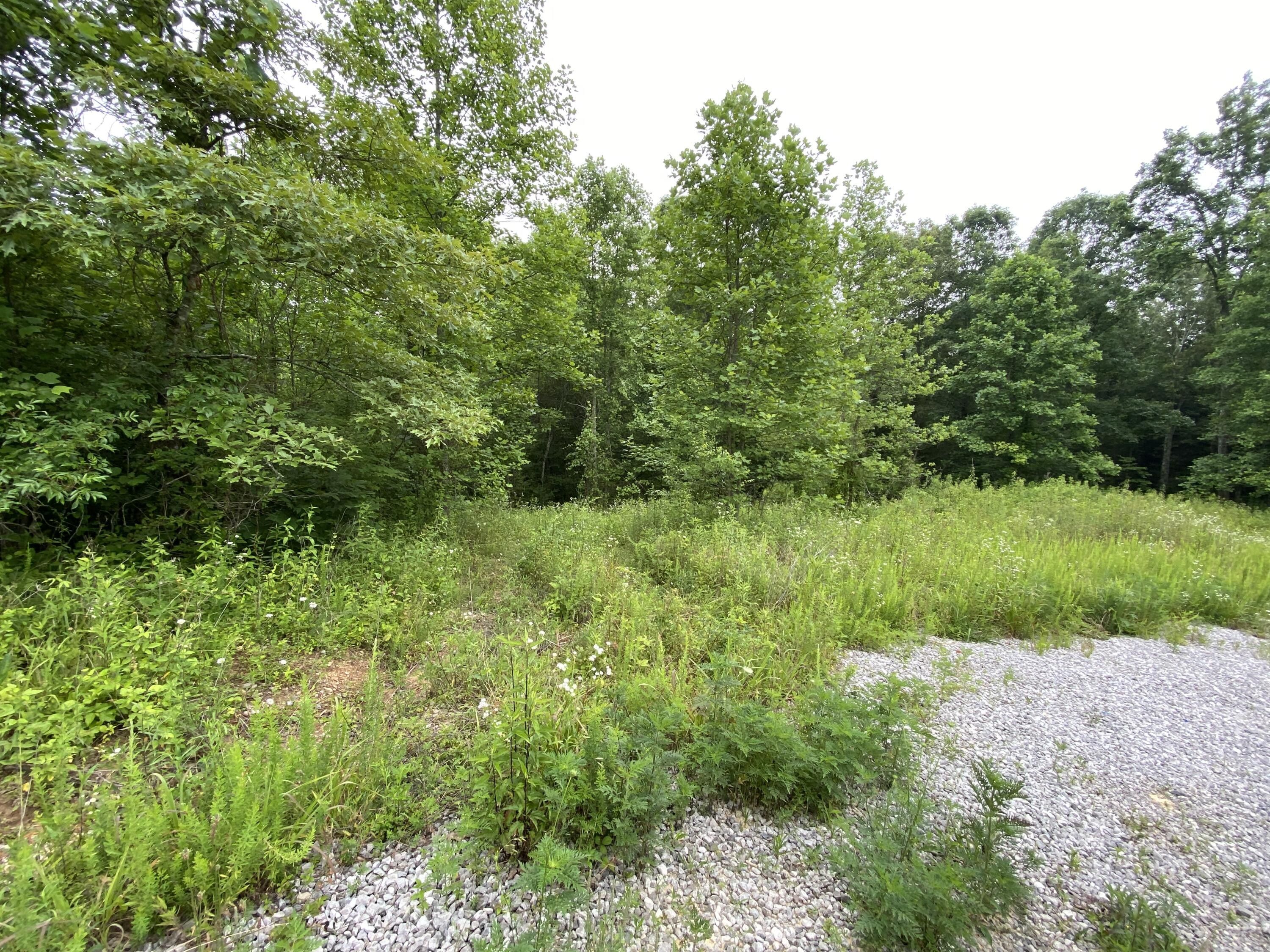 Parkers Lake, McCreary County, KY Undeveloped Land for sale Property ID
