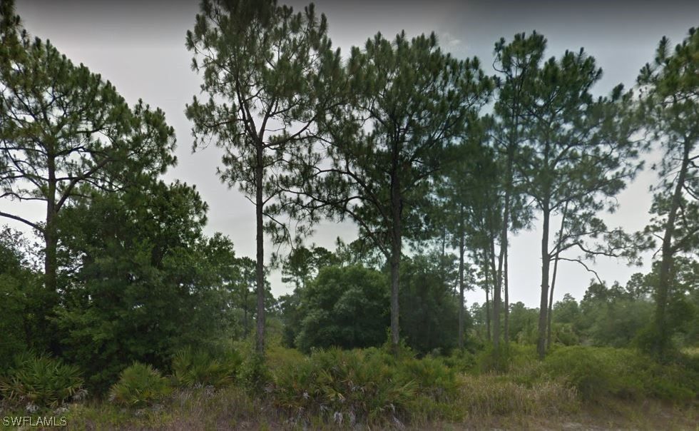 Clewiston, Hendry County, FL Farms and Ranches, Homesites for sale