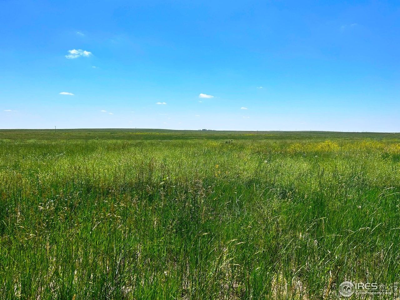 Briggsdale, Weld County, CO Farms and Ranches for sale Property ID