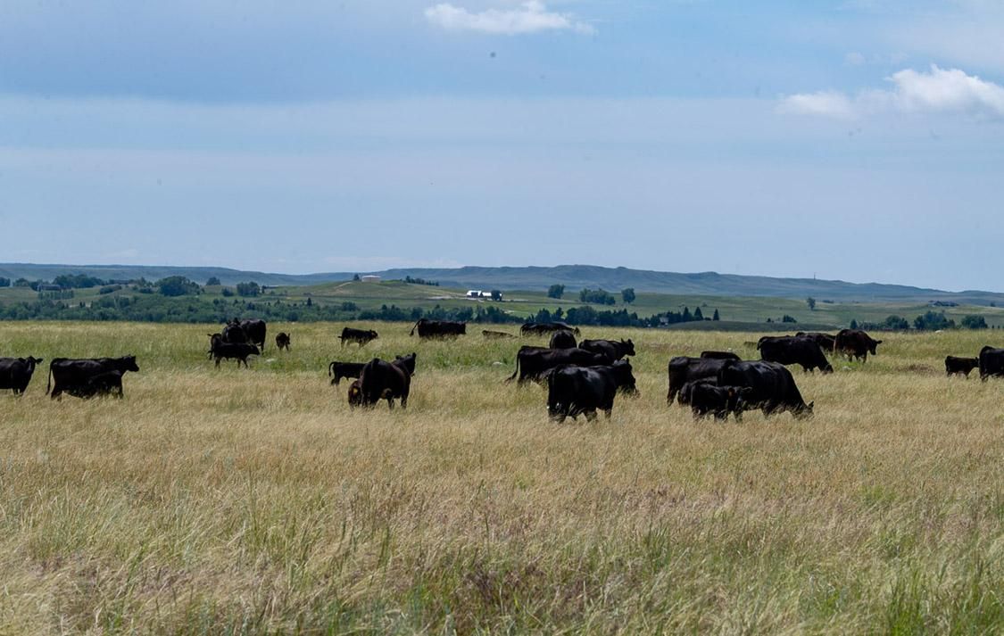 Buffalo, Johnson County, WY Farms and Ranches, Undeveloped Land for sale Property ID 409393583