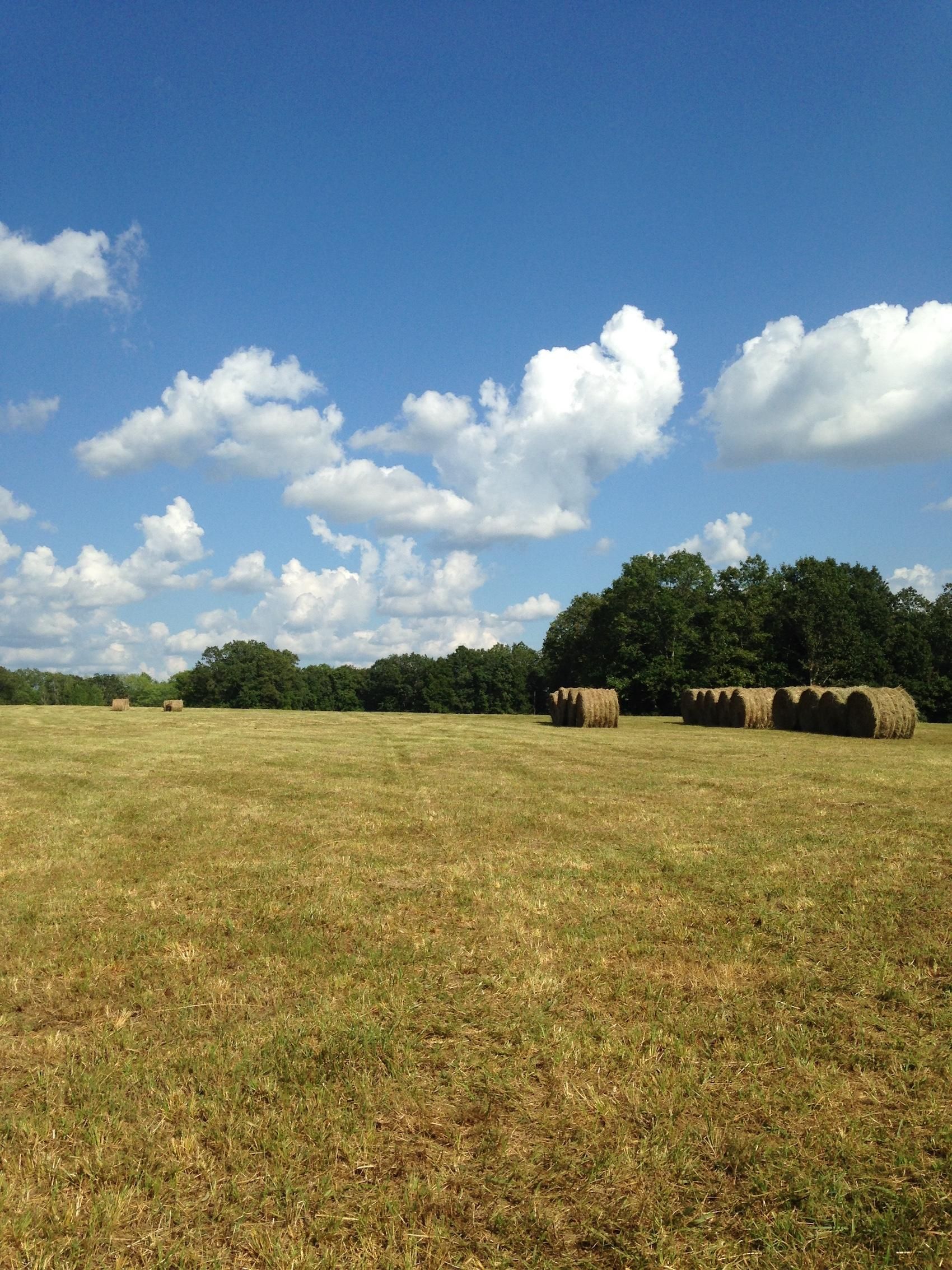 Mountain View, Howell County, MO Farms and Ranches, Undeveloped Land
