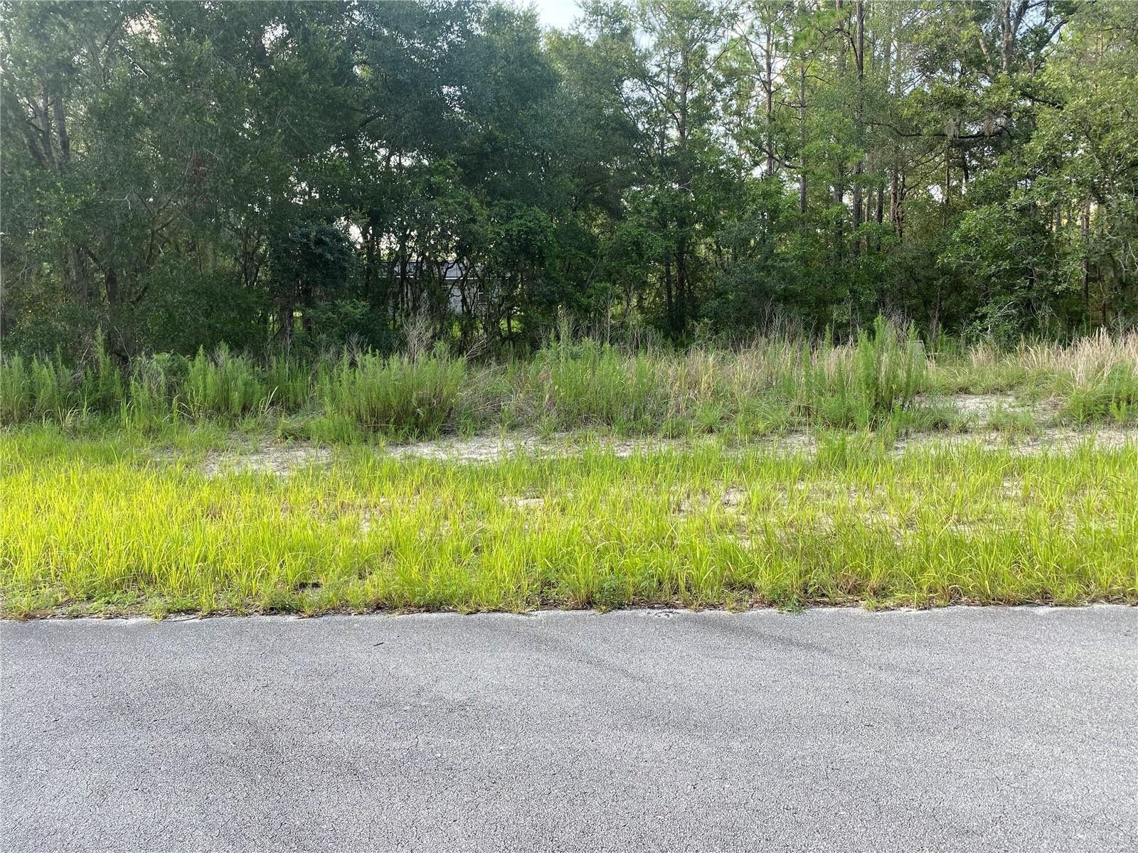 Ocala, Marion County, FL Undeveloped Land, Homesites for sale Property
