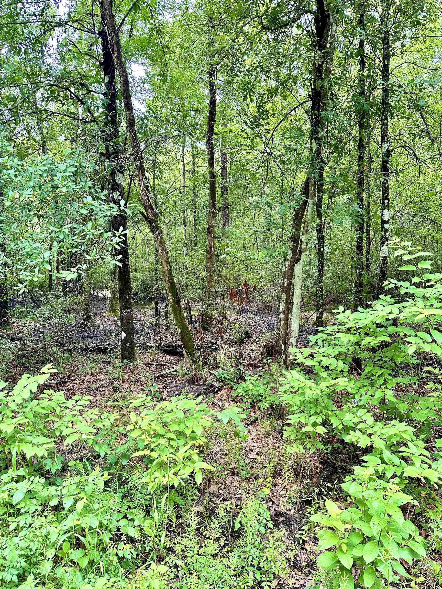 Kirbyville, Jasper County, TX Farms and Ranches, Homesites for sale