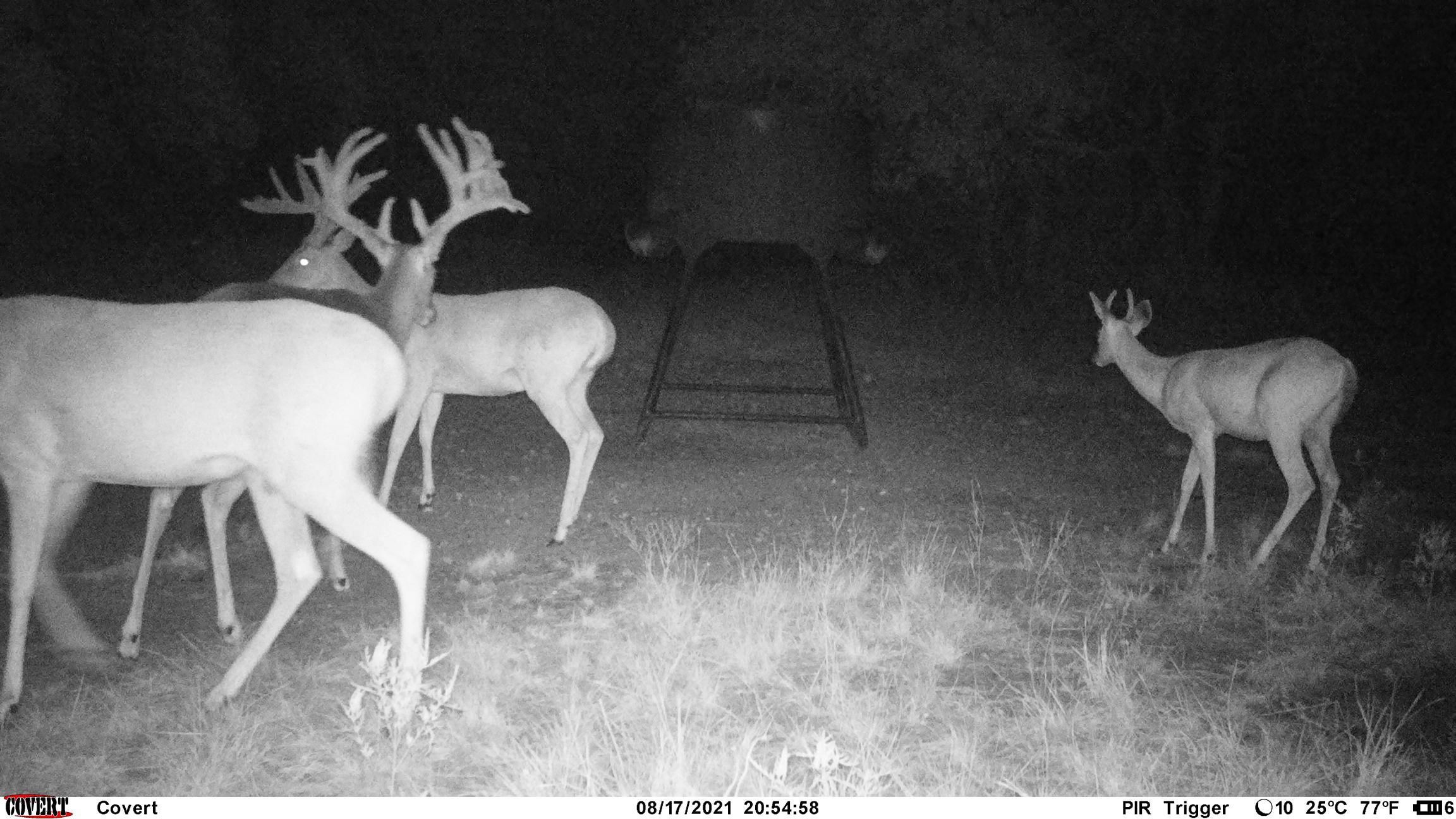 Mullin, Mills County, TX Farms and Ranches, Recreational Property