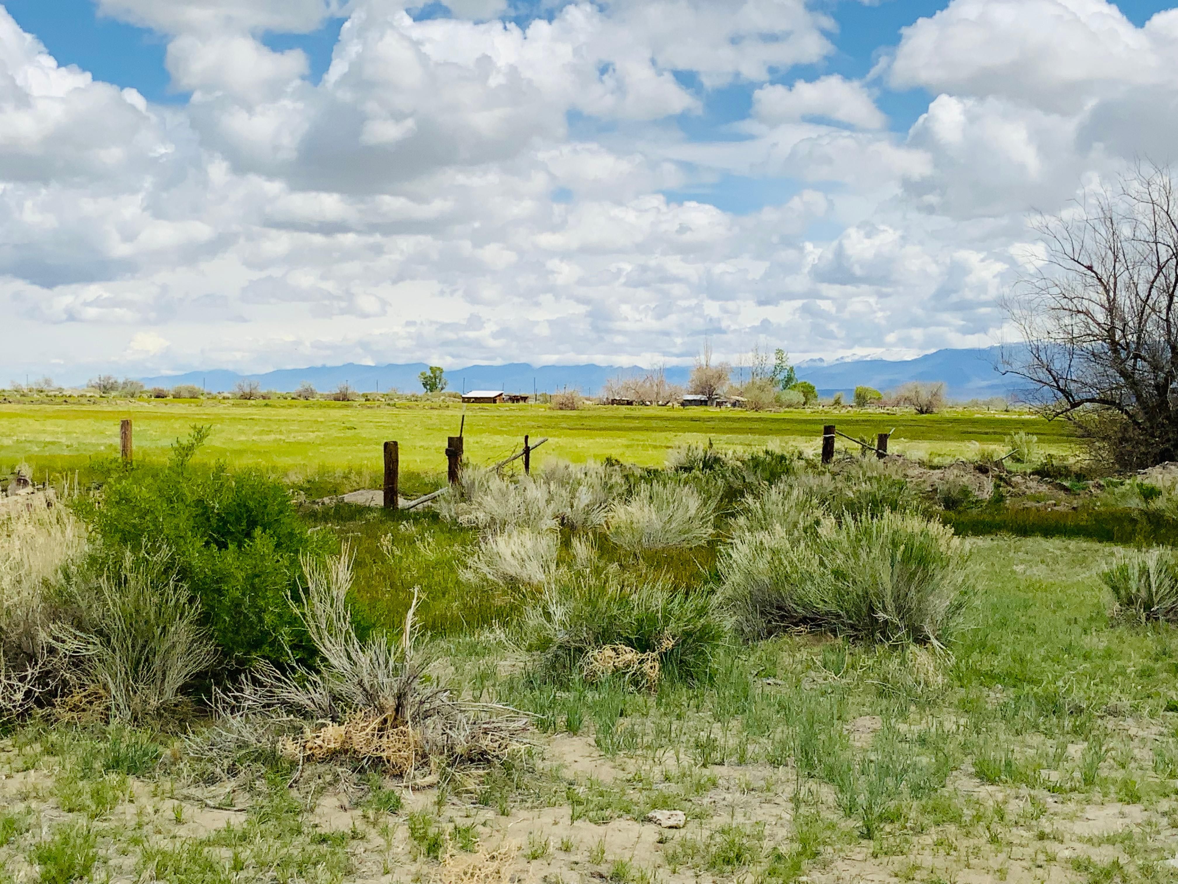 Fallon, Churchill County, NV Farms and Ranches for sale Property ID