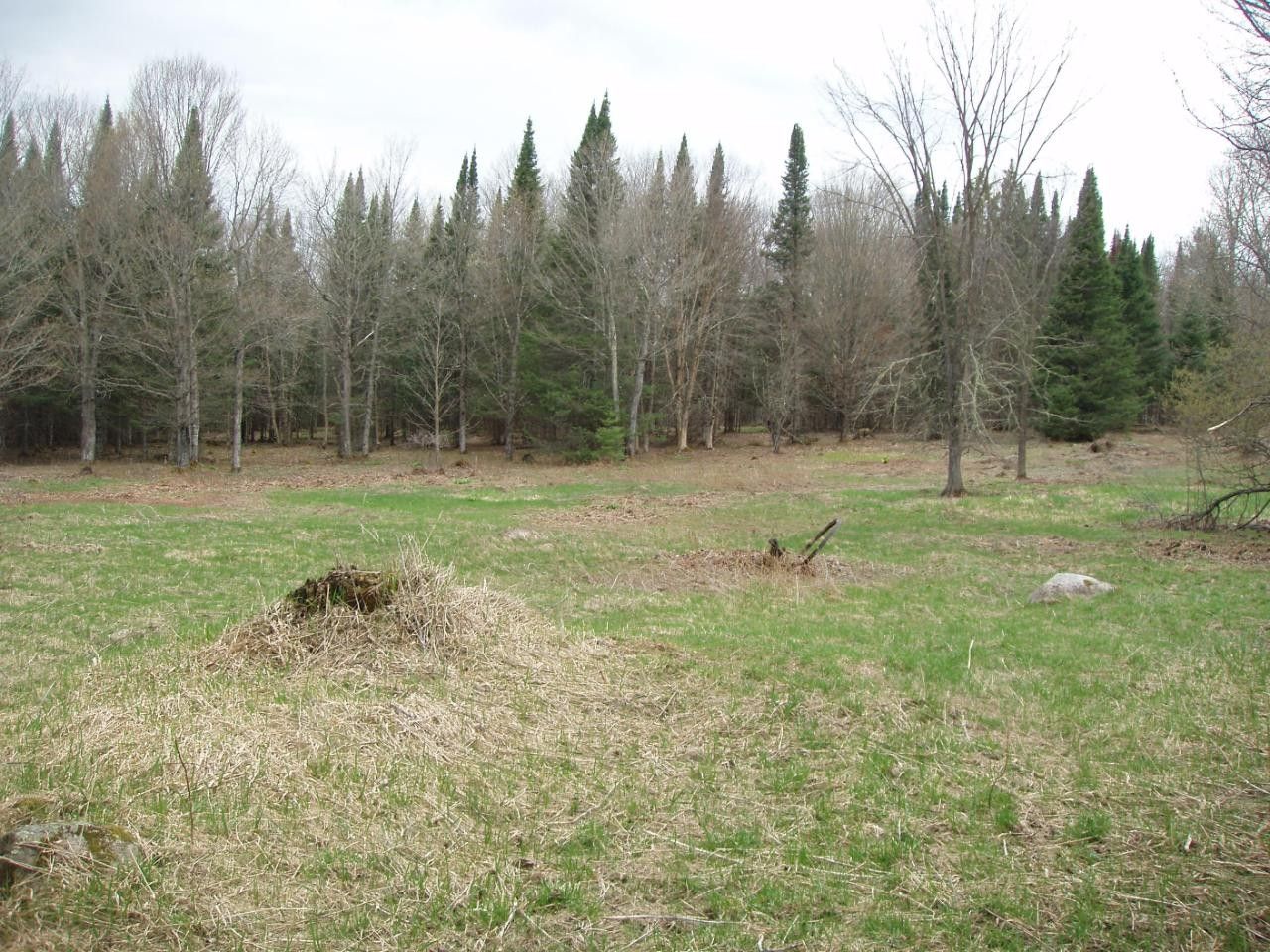 Glidden, Ashland County, WI Farms and Ranches for sale Property ID