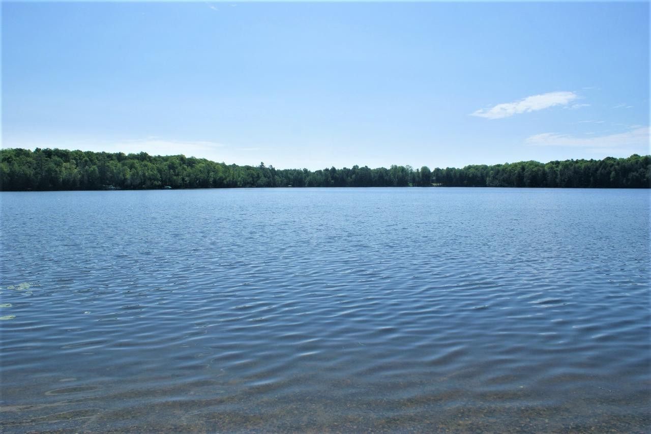 Long Lake, Florence County, WI Farms and Ranches, Lakefront Property, Waterfront Property