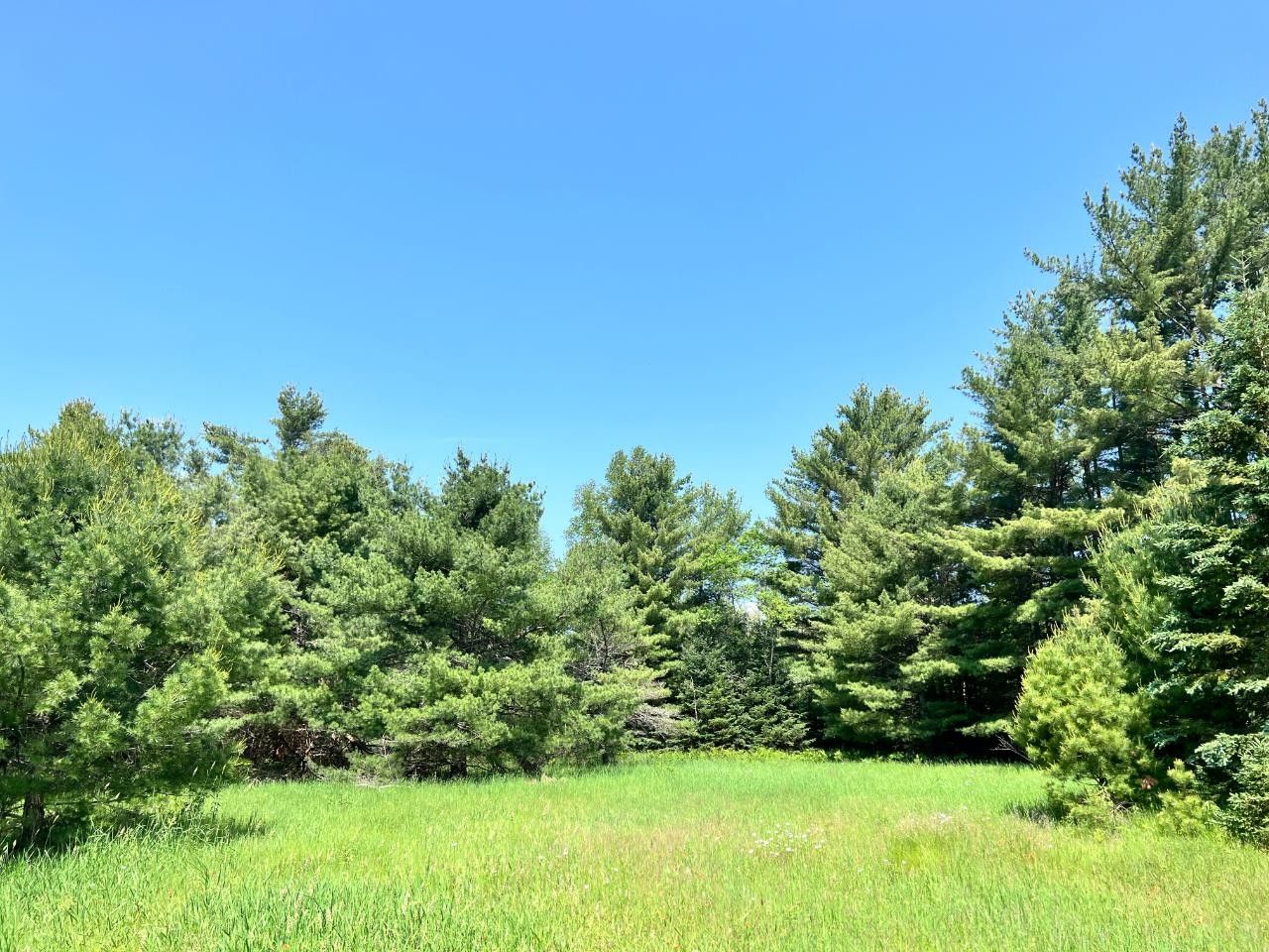 Conover, Vilas County, WI Farms and Ranches for sale Property ID