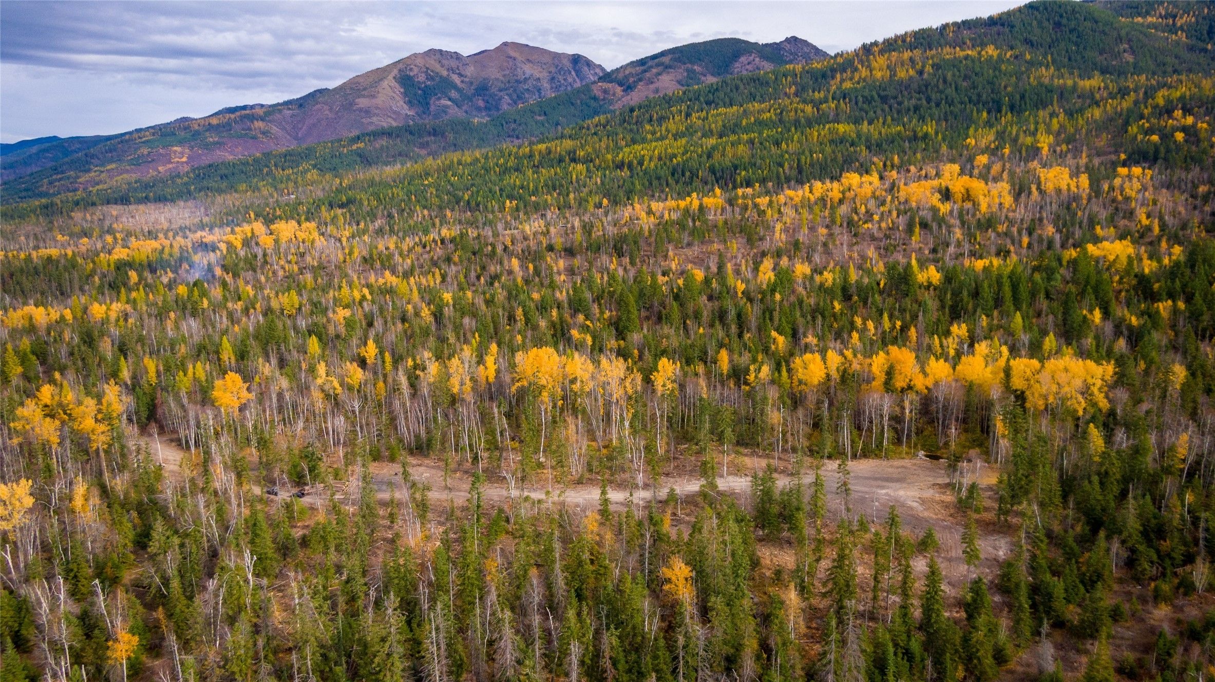 Bigfork, Lake County, MT Farms and Ranches, Lakefront Property
