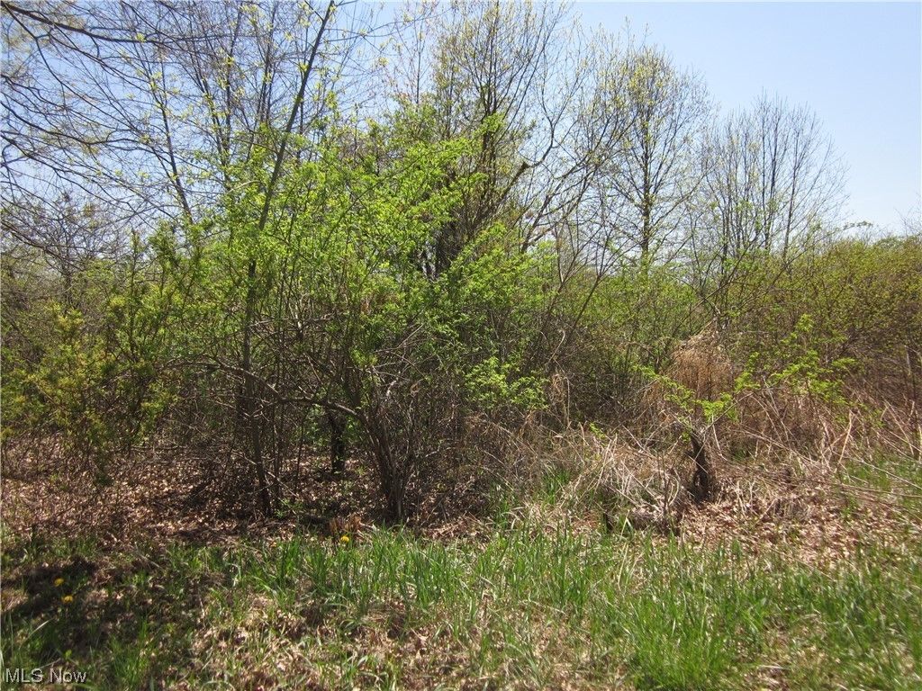 Atwater, Portage County, OH Undeveloped Land for sale Property ID 416810252 LandWatch