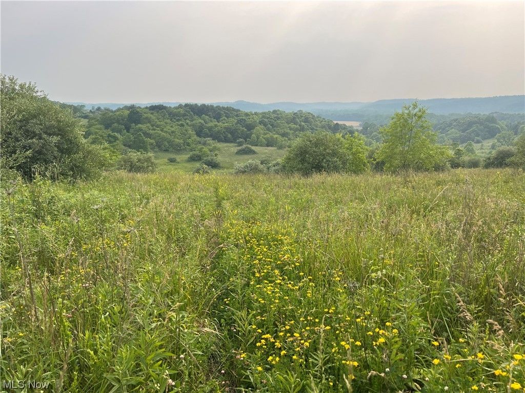 West Lafayette, Coshocton County, OH Farms and Ranches for sale