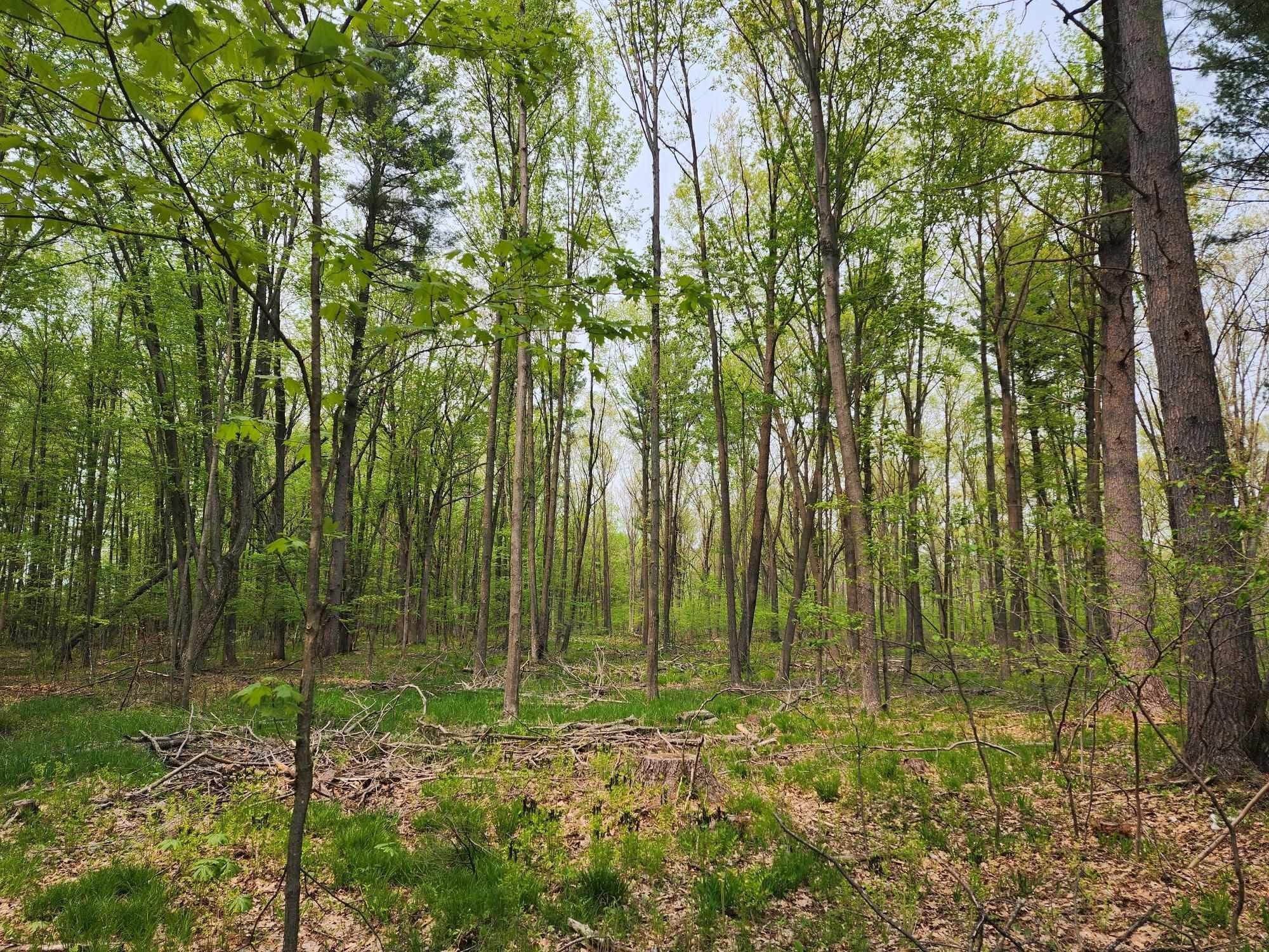 Pittsville, Wood County, WI Farms and Ranches, Lakefront Property