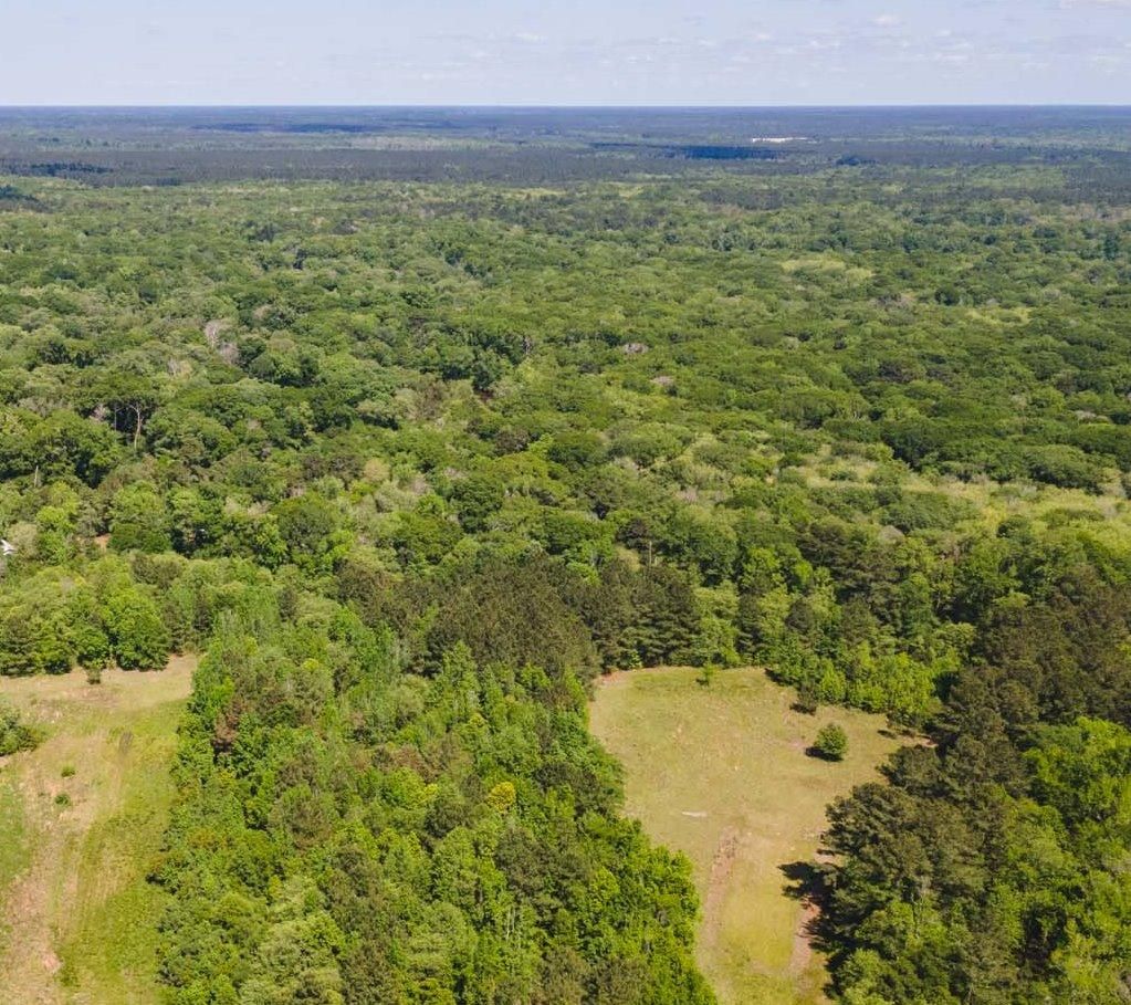 Old River Rd S, Brooklet, GA 30415 MLS 56 Acres Southeast Bulloch Co