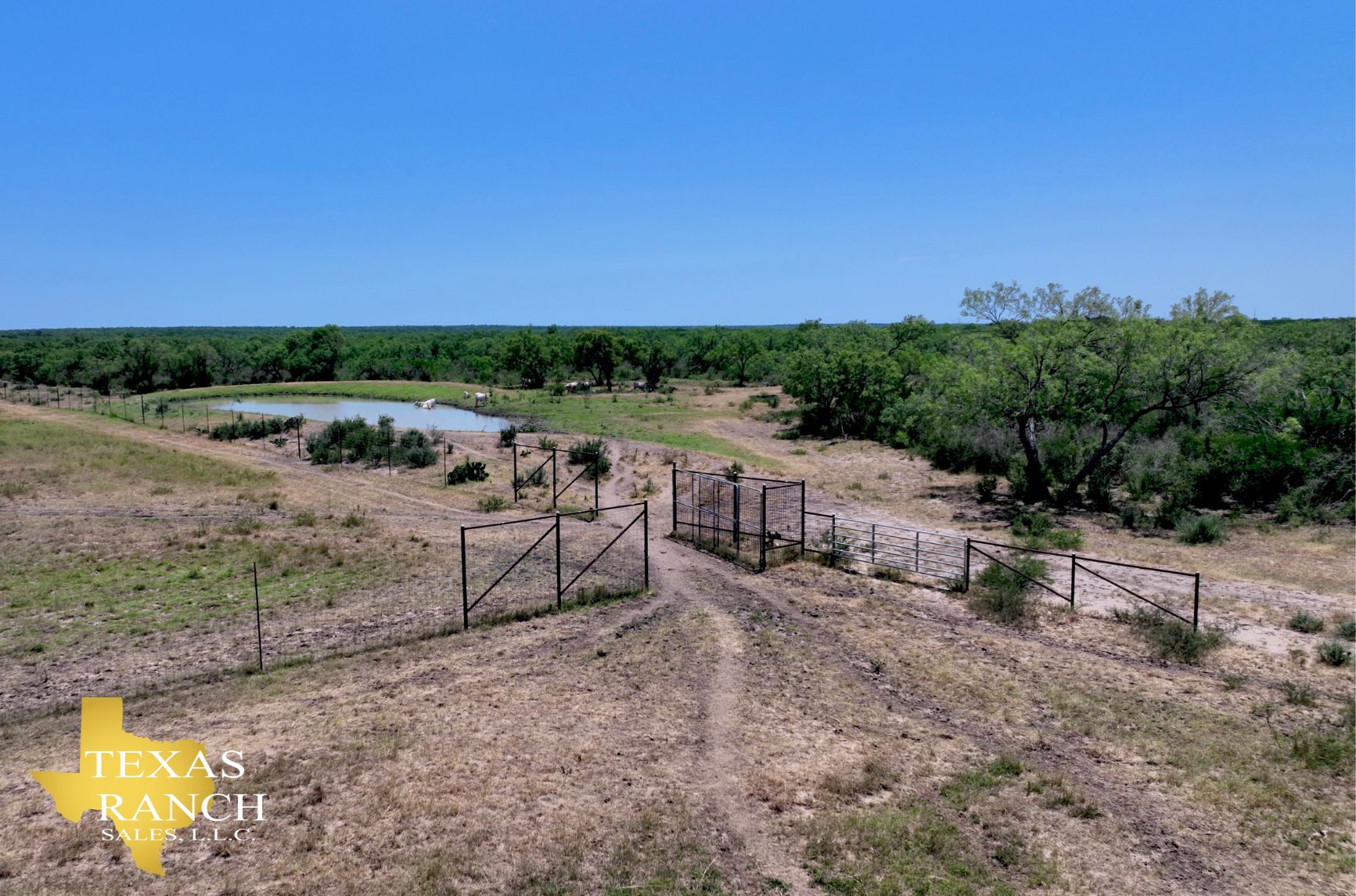 Christine, Atascosa County, TX Farms and Ranches, Recreational Property