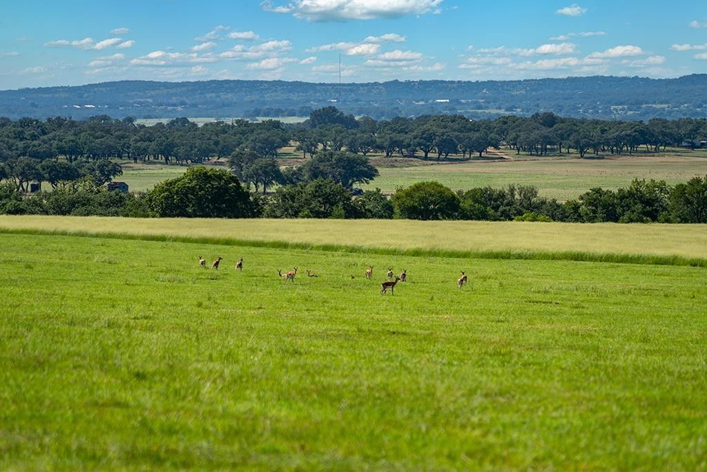 Stonewall, Gillespie County, TX Farms and Ranches for sale Property ID