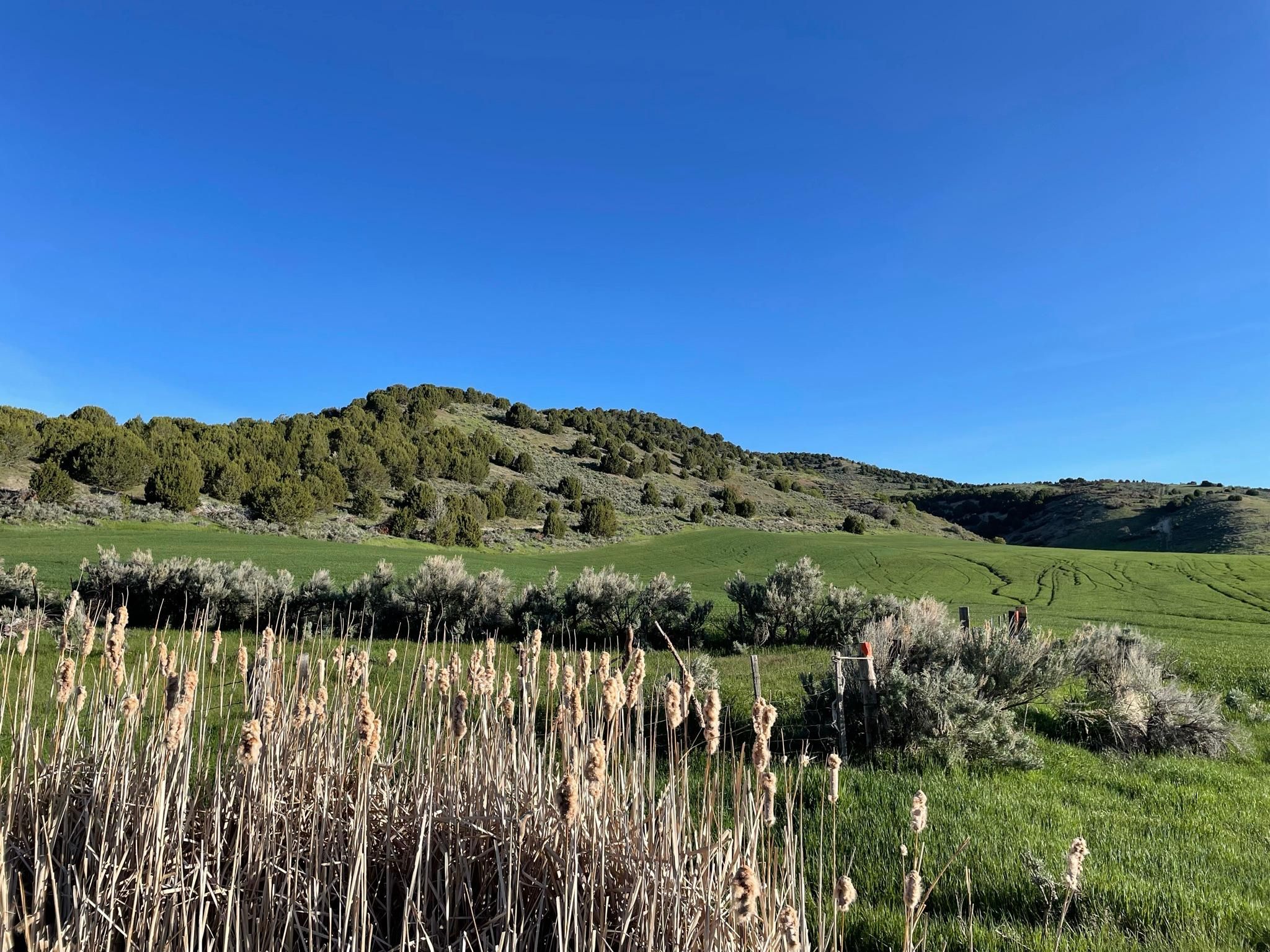 1,700 acres in Clarkston, UT, 84305 LandWatch