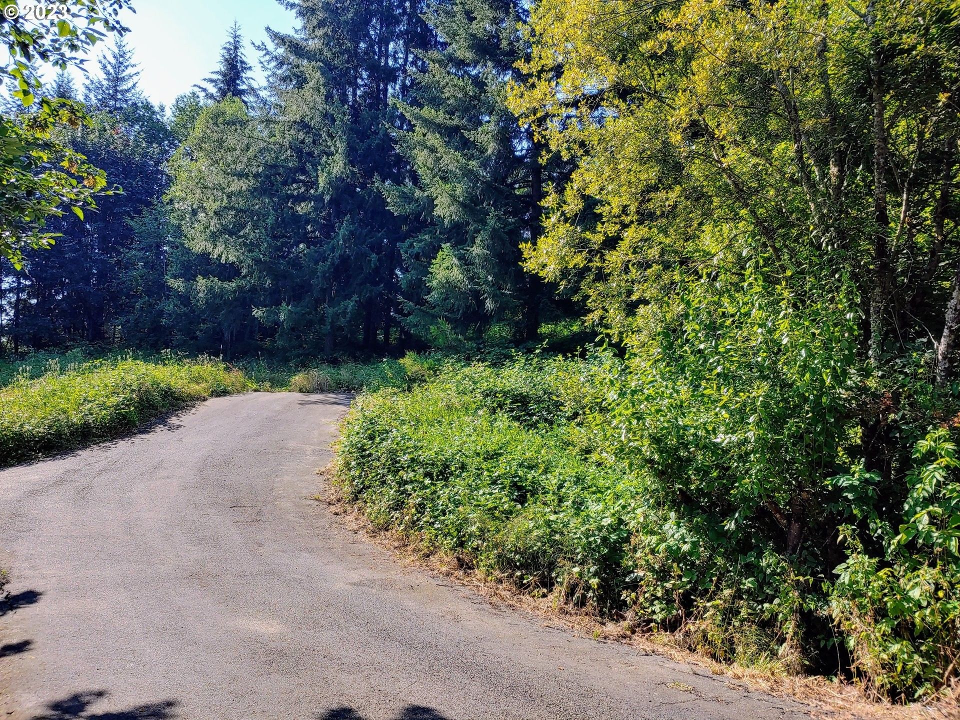 Kalama, Cowlitz County, WA Undeveloped Land, Homesites for sale