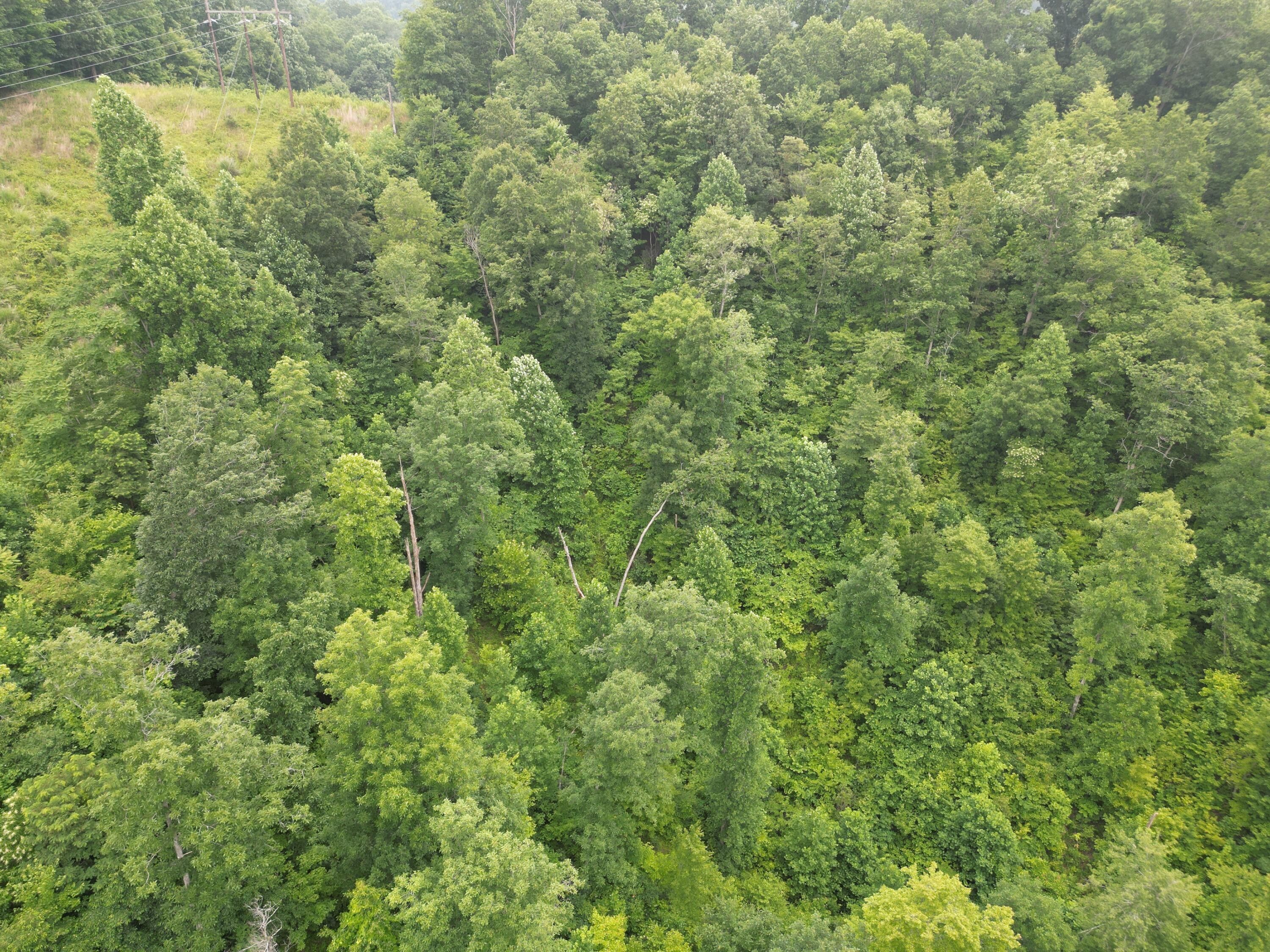 Manchester, Clay County, KY Farms and Ranches for sale Property ID 416813023 LandWatch