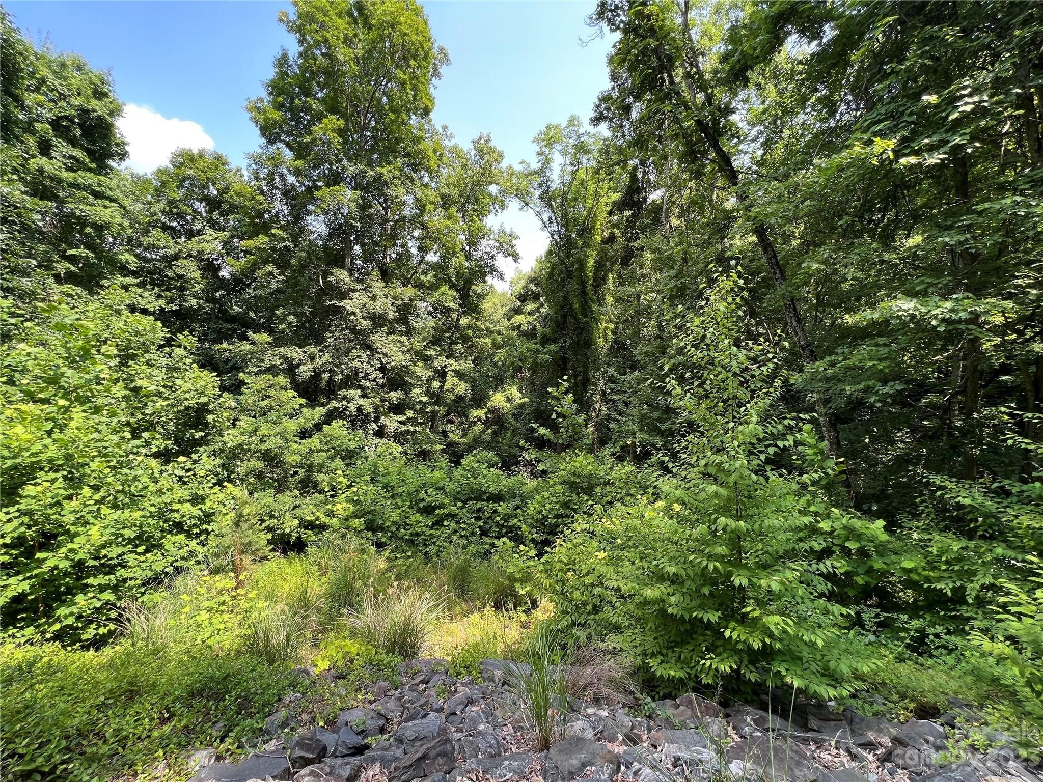 Mars Hill, Madison County, NC Farms and Ranches, Homesites for sale