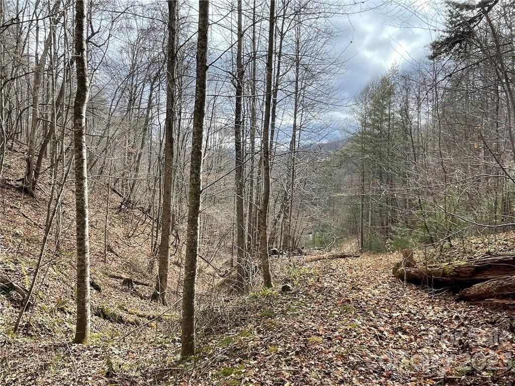 Burnsville, Yancey County, NC Undeveloped Land for sale Property ID