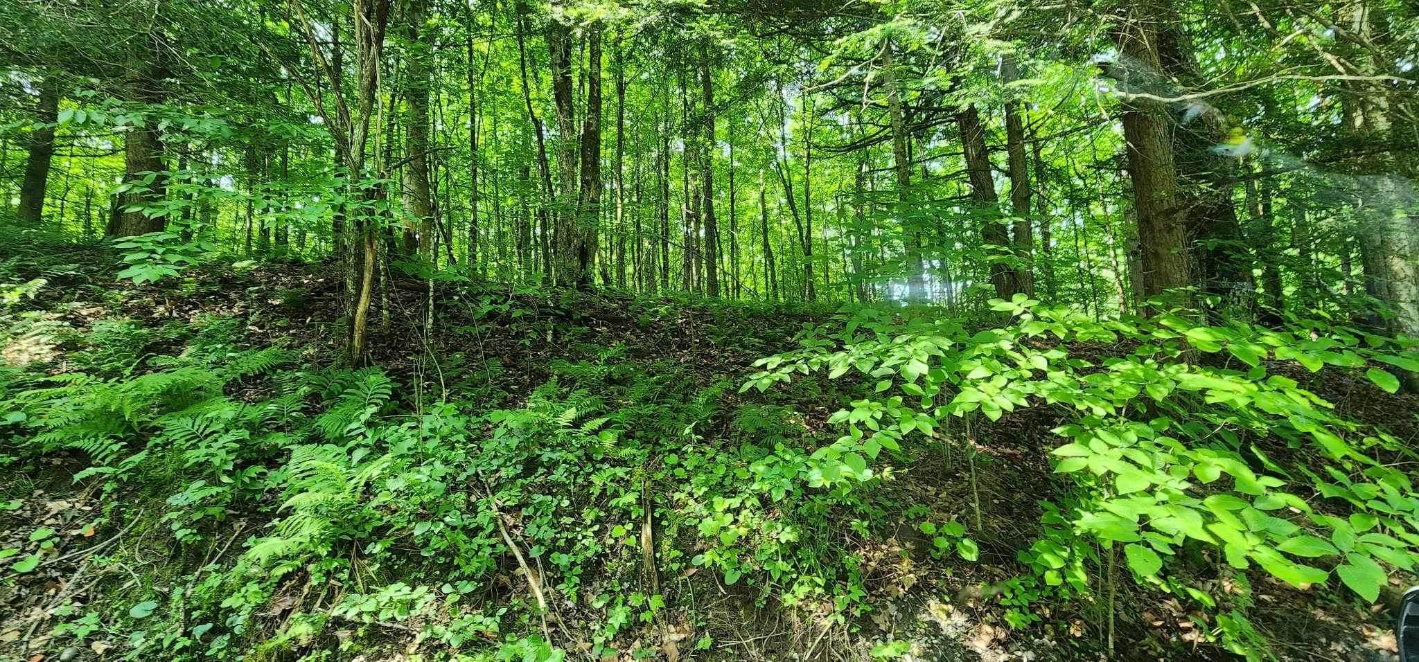 Norway, Herkimer County, NY Recreational Property, Hunting Property for