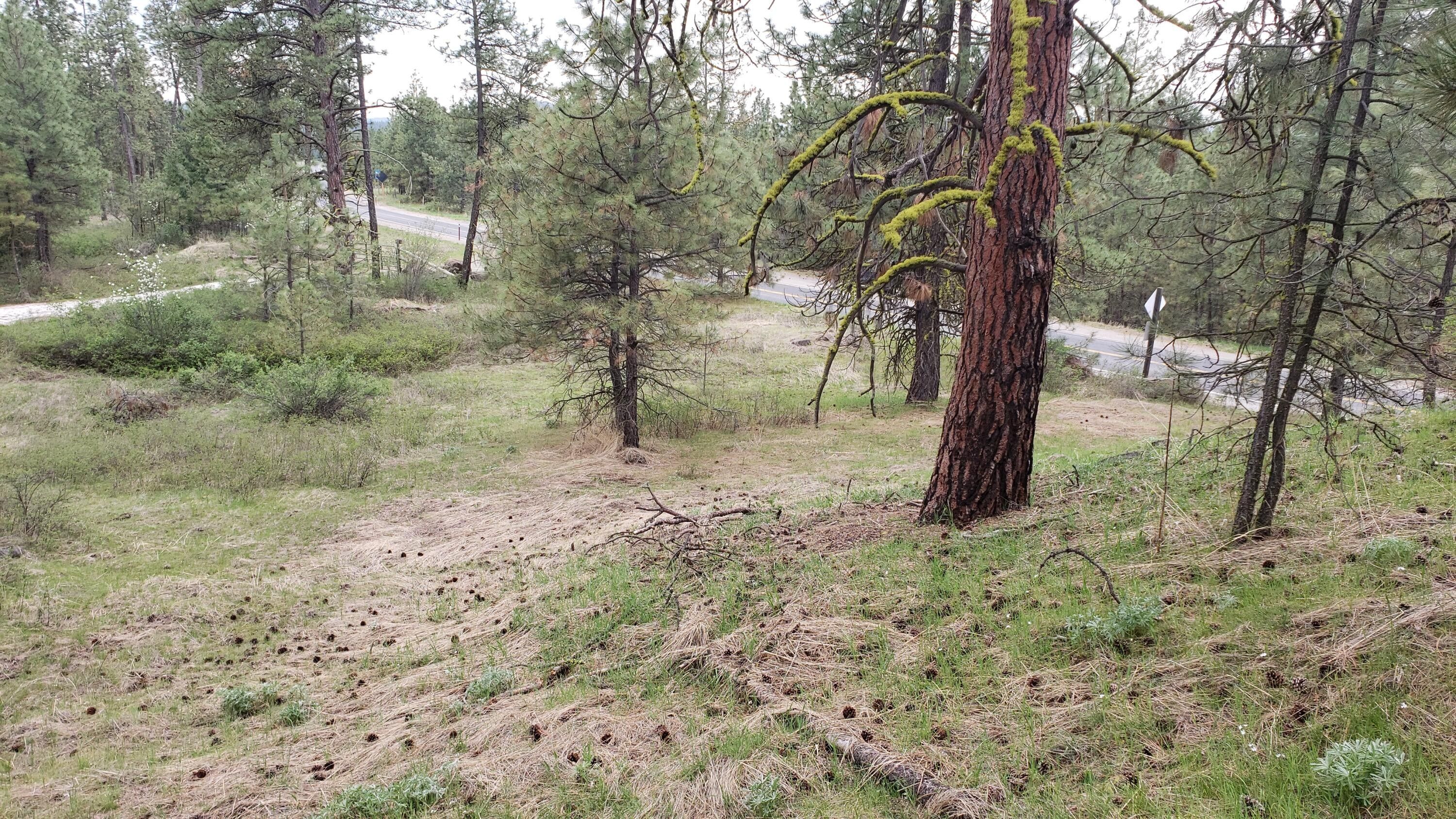 Hunters, Stevens County, WA Farms and Ranches, Homesites for sale