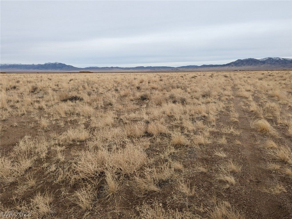 Alamo, Lincoln County, NV Undeveloped Land, Homesites for sale Property