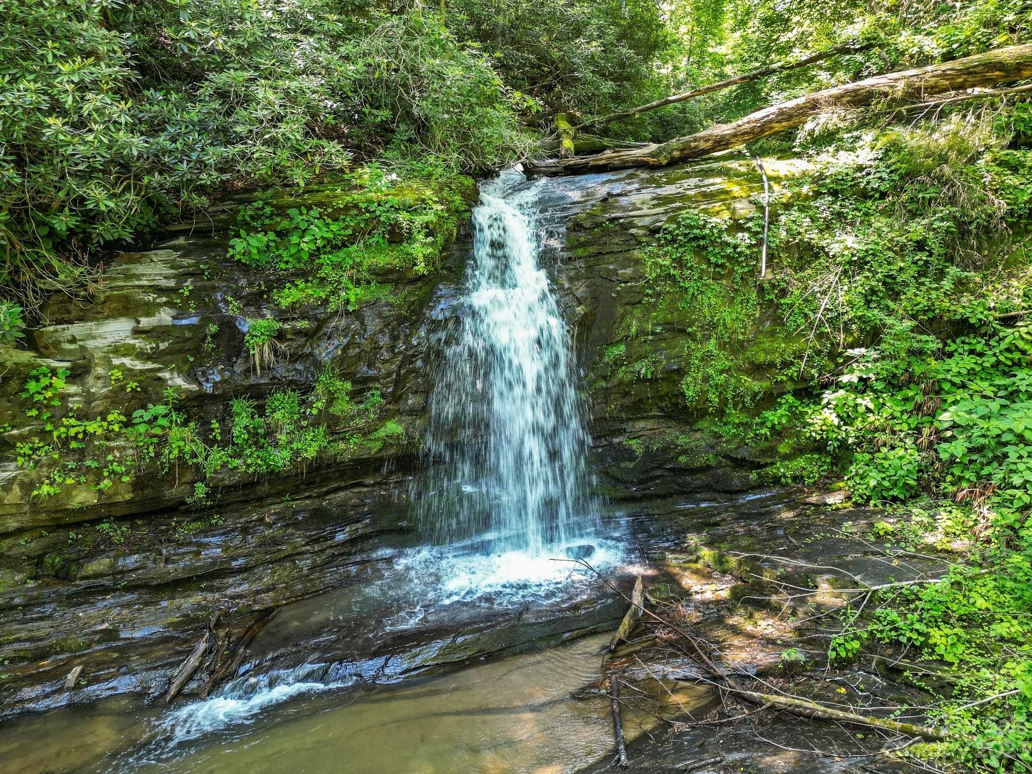 Hendersonville, Henderson County, NC Farms and Ranches, Homesites for