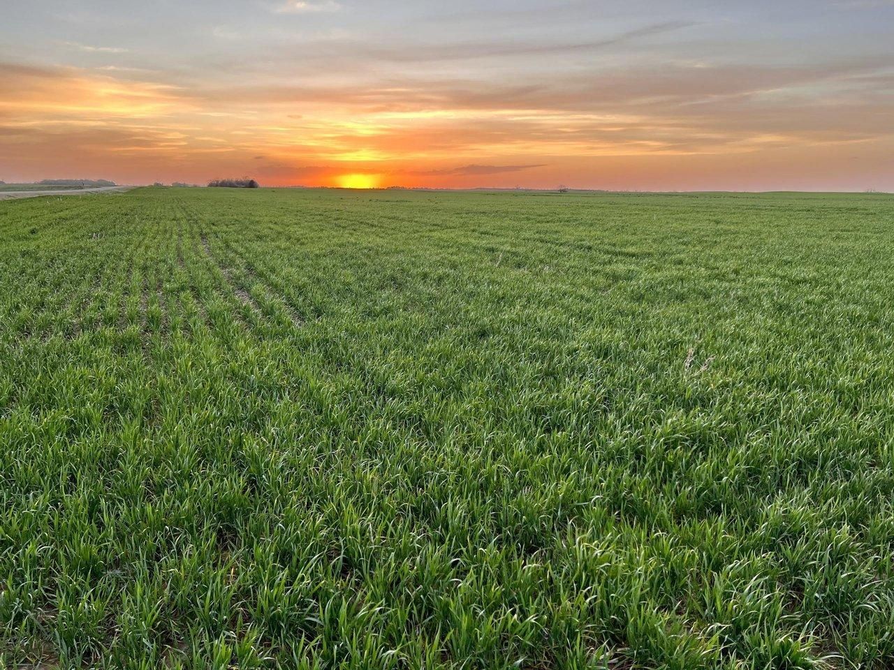 Sterling, Reno County, KS Farms and Ranches, Undeveloped Land for sale