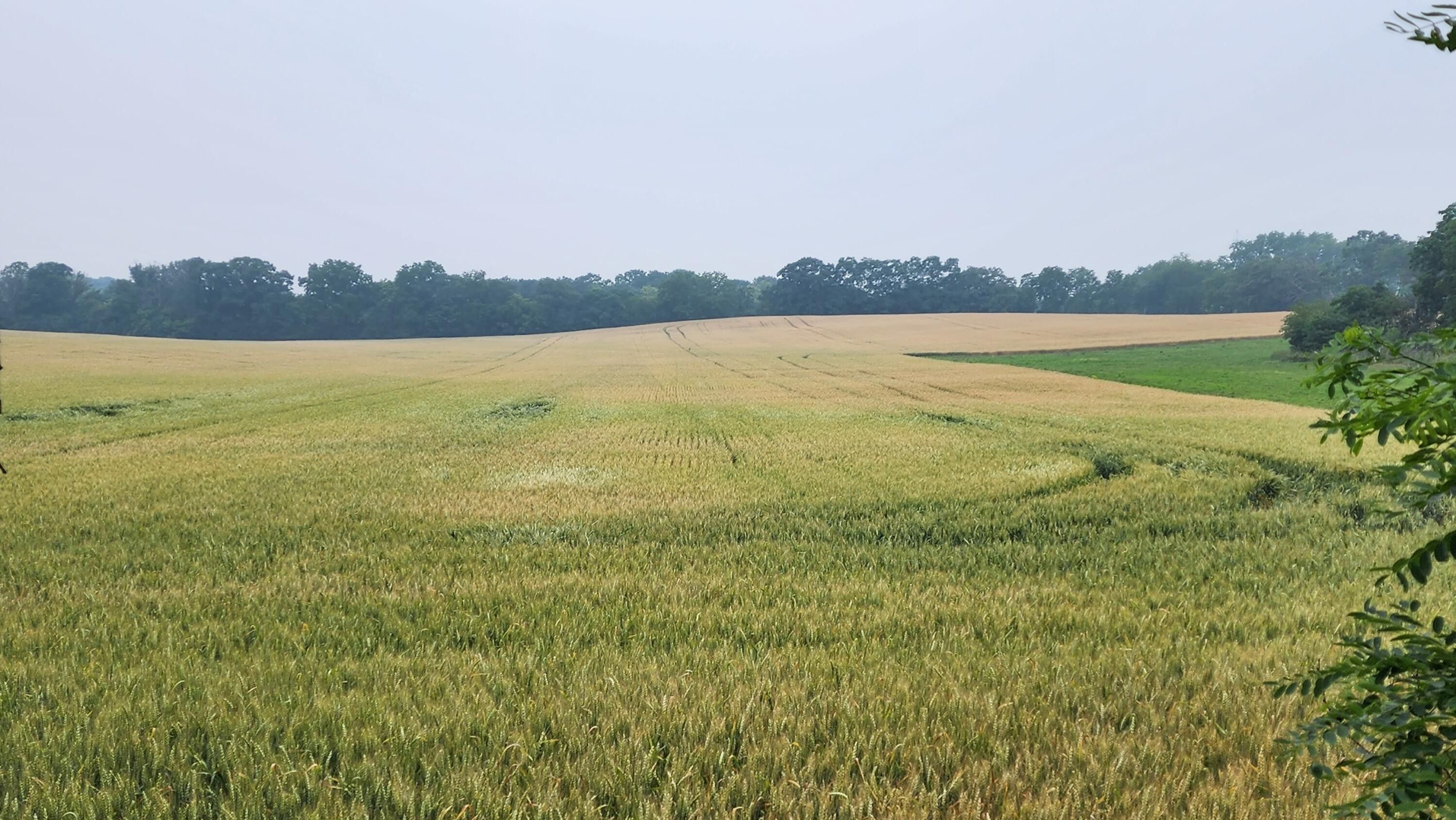 Mukwonago, Waukesha County, WI Farms and Ranches, Homesites for sale