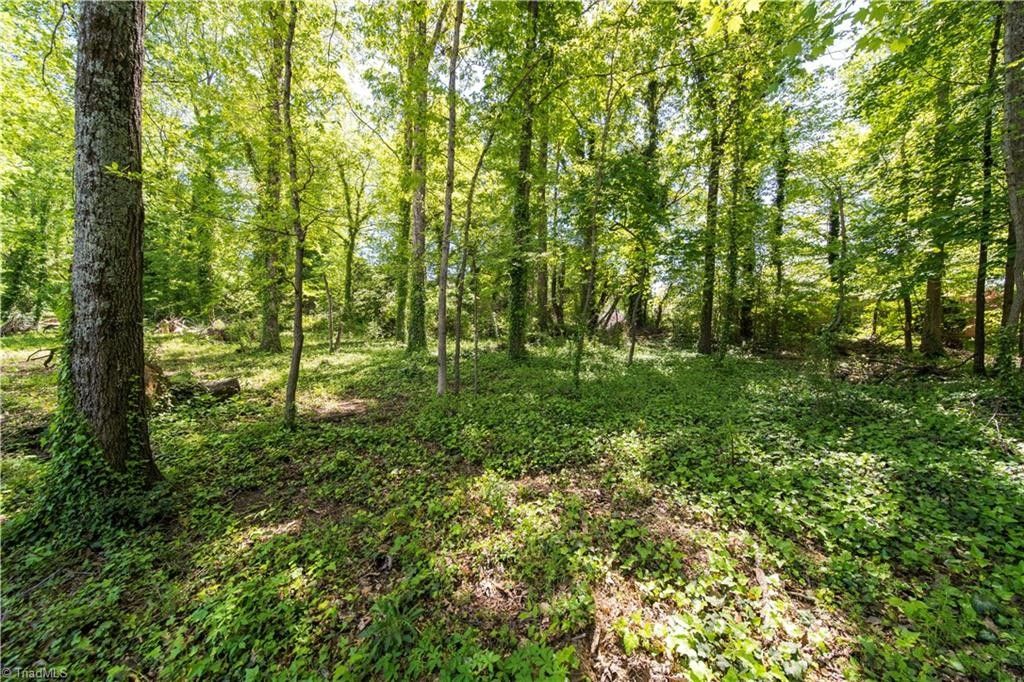 Winston Salem, Forsyth County, NC Undeveloped Land, Homesites for sale