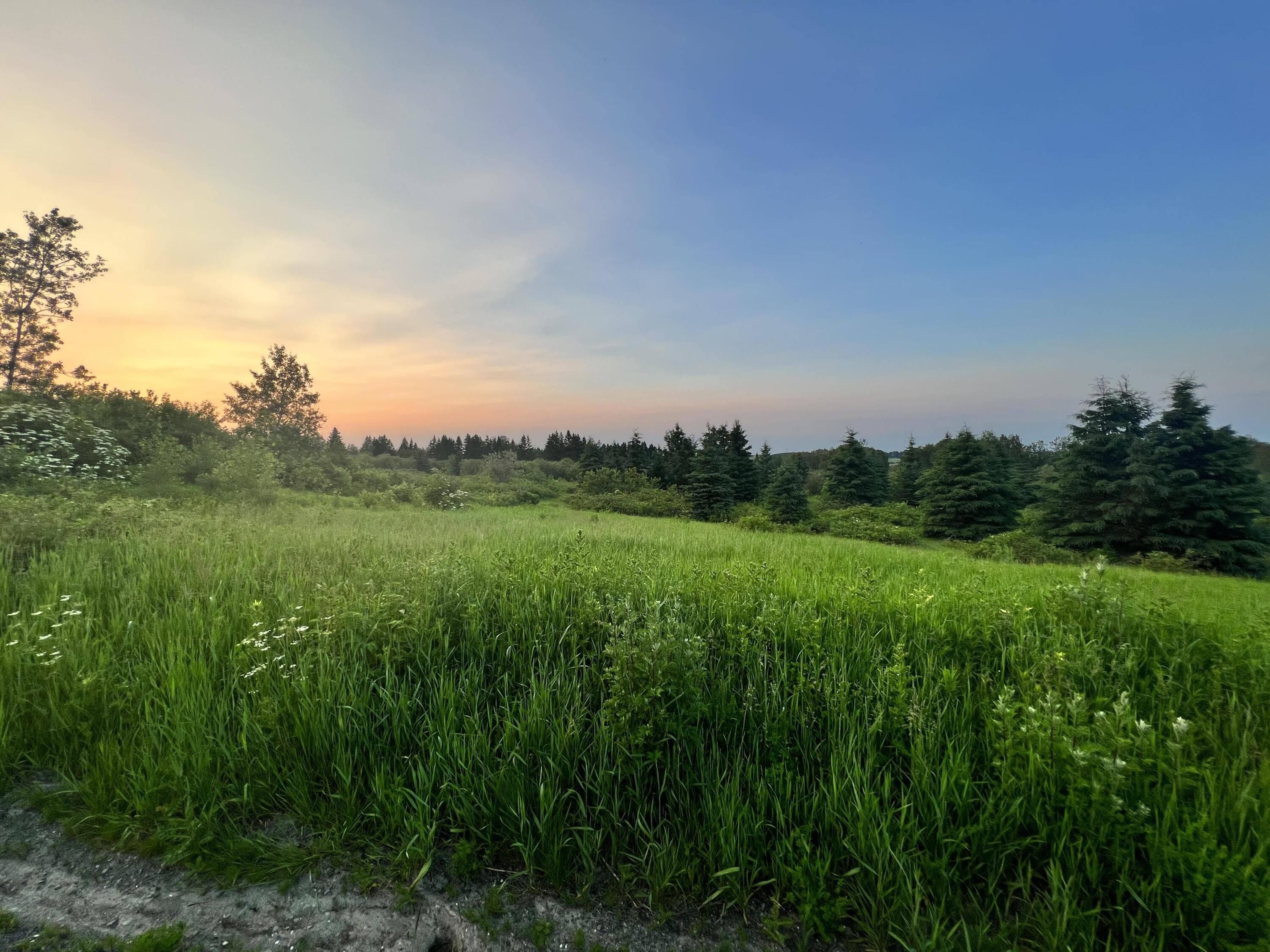 Saint Agatha, Aroostook County, ME Undeveloped Land, Lakefront Property