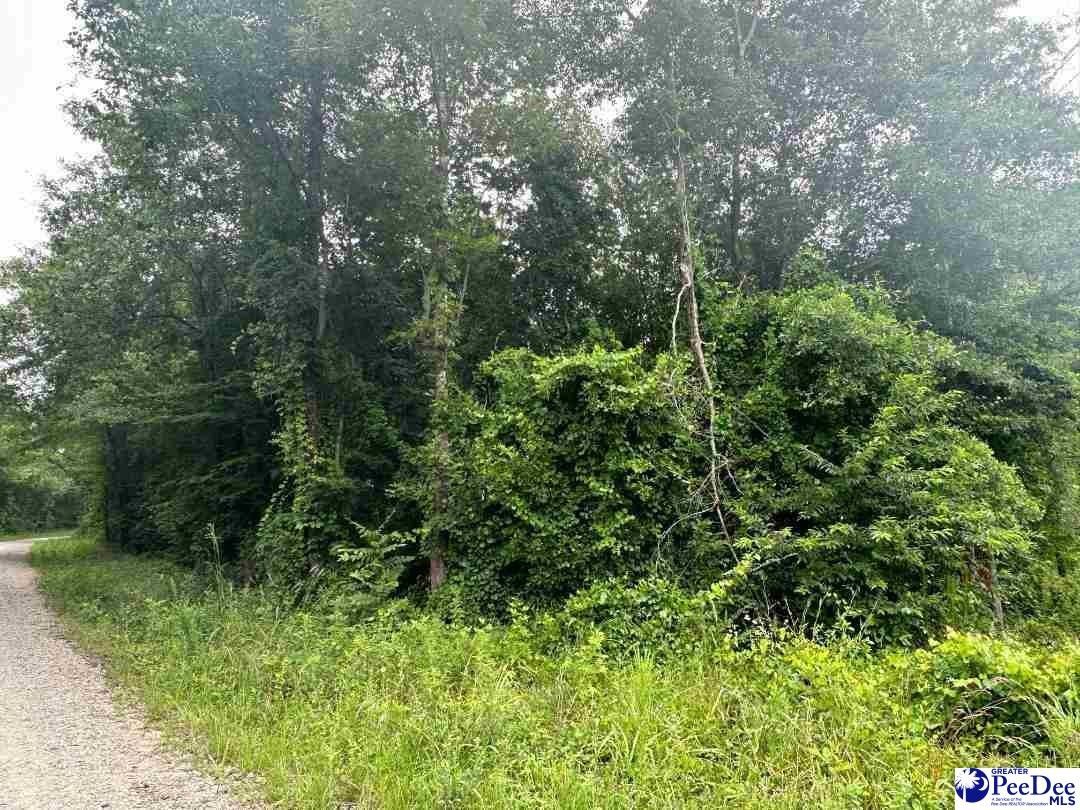 Chesterfield, Chesterfield County, SC Undeveloped Land, Homesites for