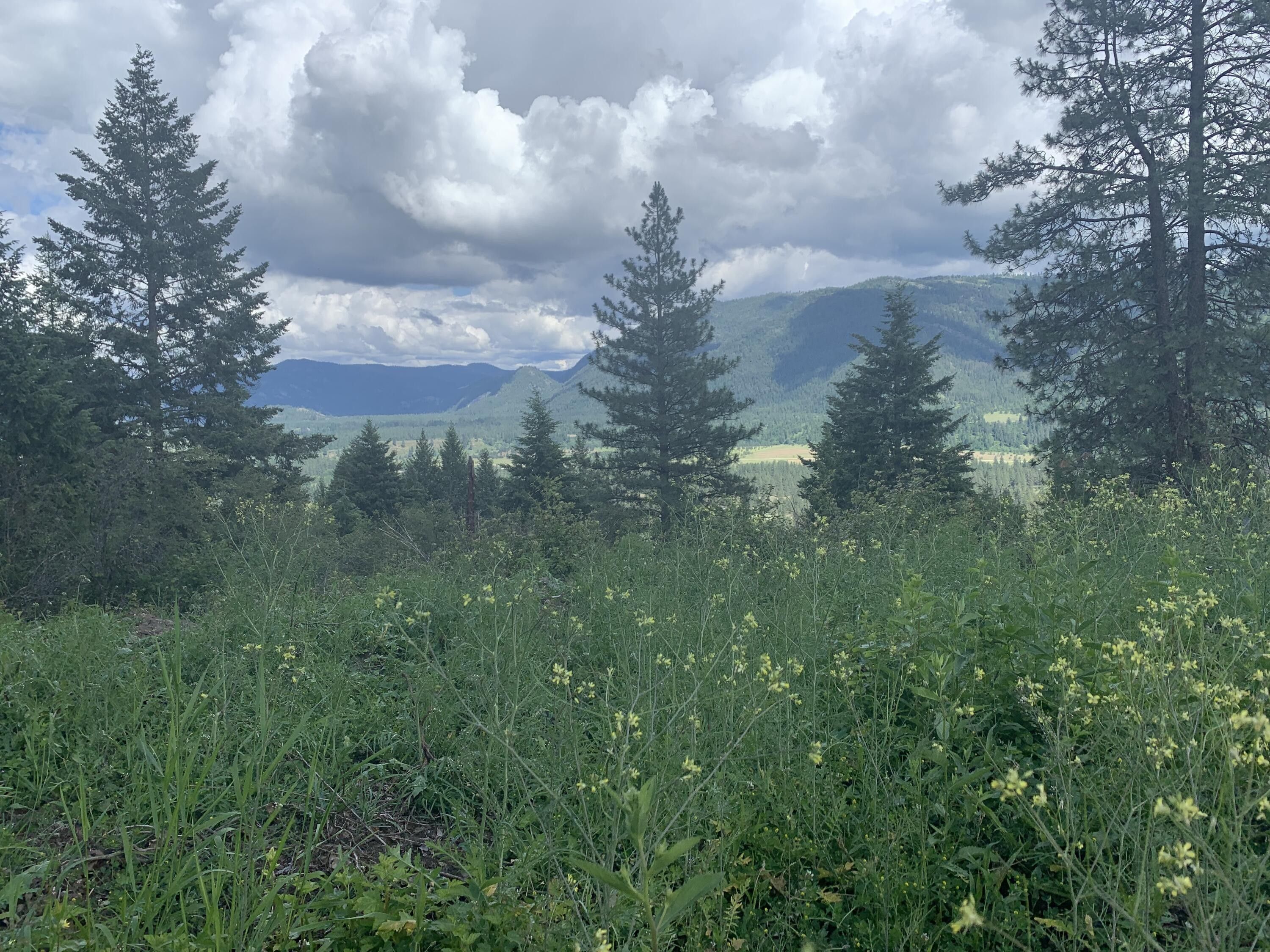 Kettle Falls, Stevens County, WA Undeveloped Land for sale Property ID