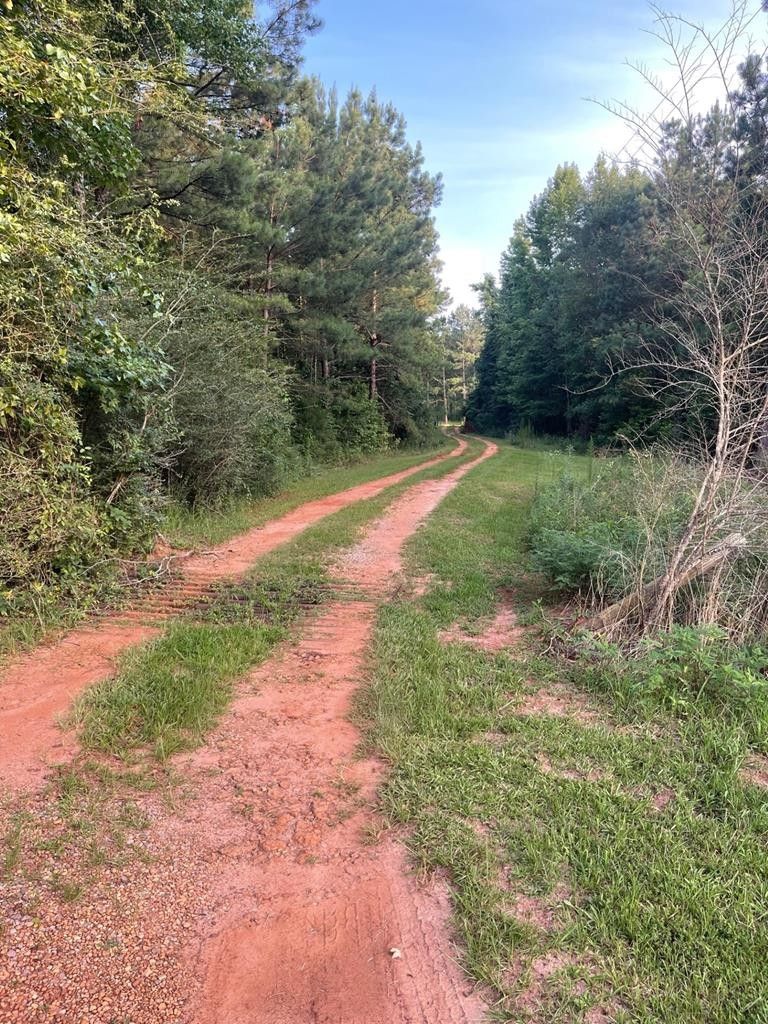 Troy, Pike County, AL Farms and Ranches for sale Property ID 416823270