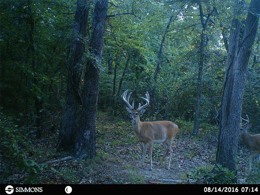 Wetumka, Hughes County, OK Undeveloped Land for sale Property ID