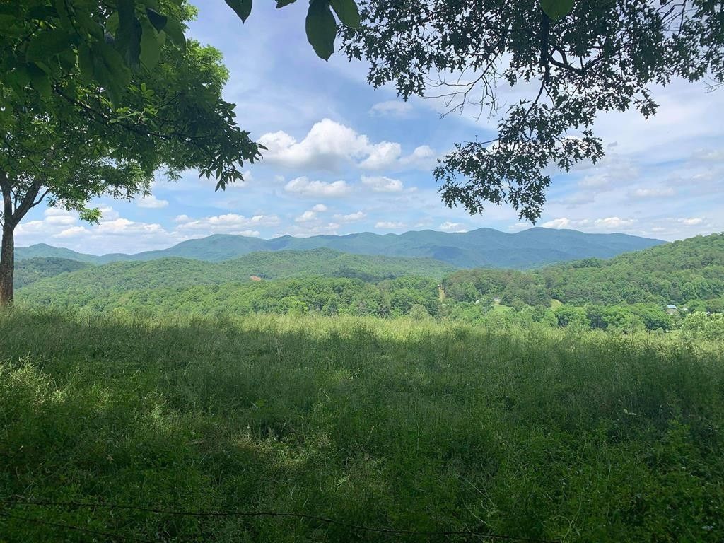 Del Rio, Cocke County, TN Farms and Ranches for sale Property ID