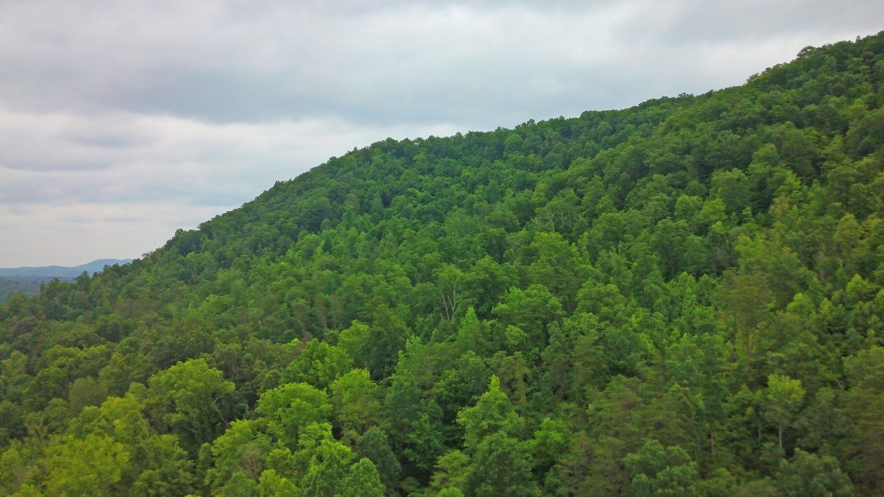 Stanton, Powell County, KY Farms and Ranches for sale Property ID