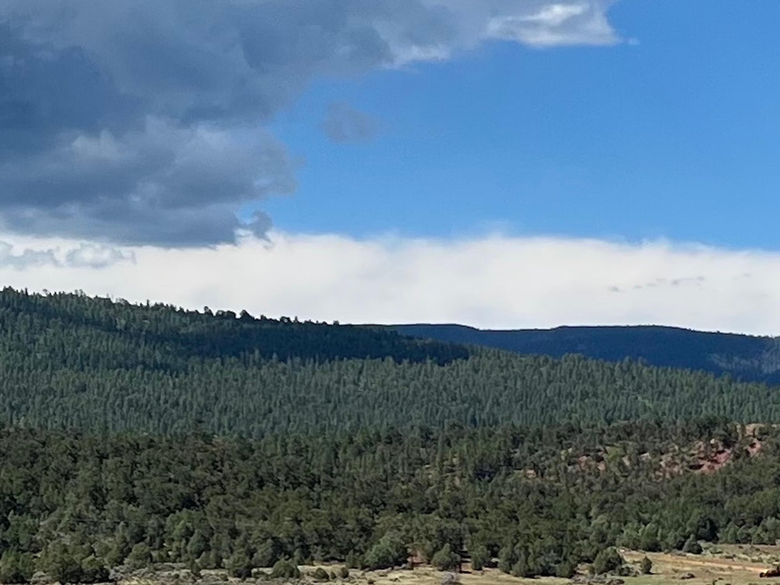 Gallina, Rio Arriba County, NM Farms and Ranches, Hunting Property for