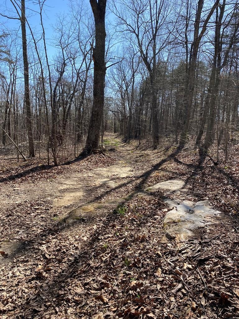 Pikeville, Bledsoe County, TN Undeveloped Land for sale Property ID